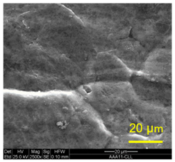 Materials 14 03598 i003