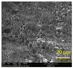 Materials 14 03598 i004