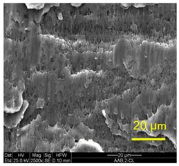 Materials 14 03598 i005