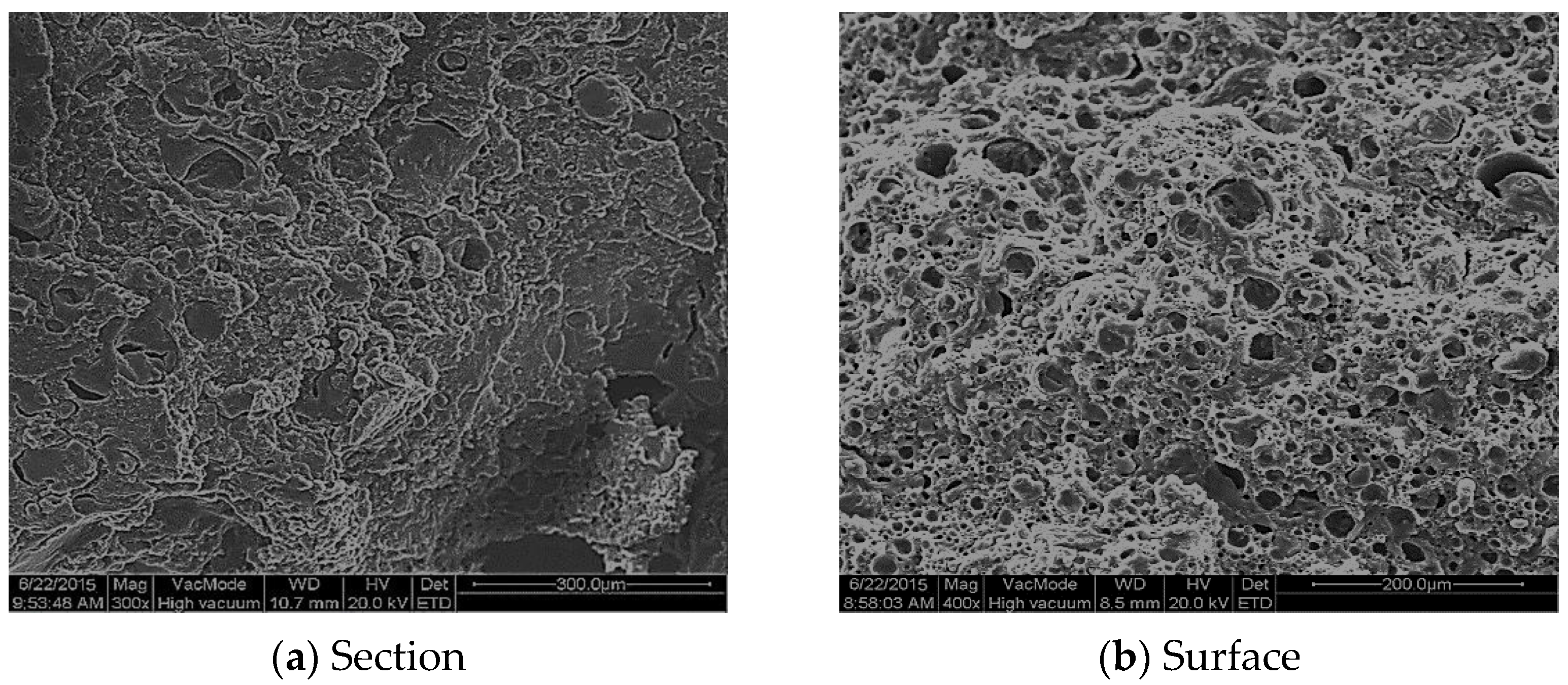 Materials 14 03599 g014 Materials 14 03599 g014