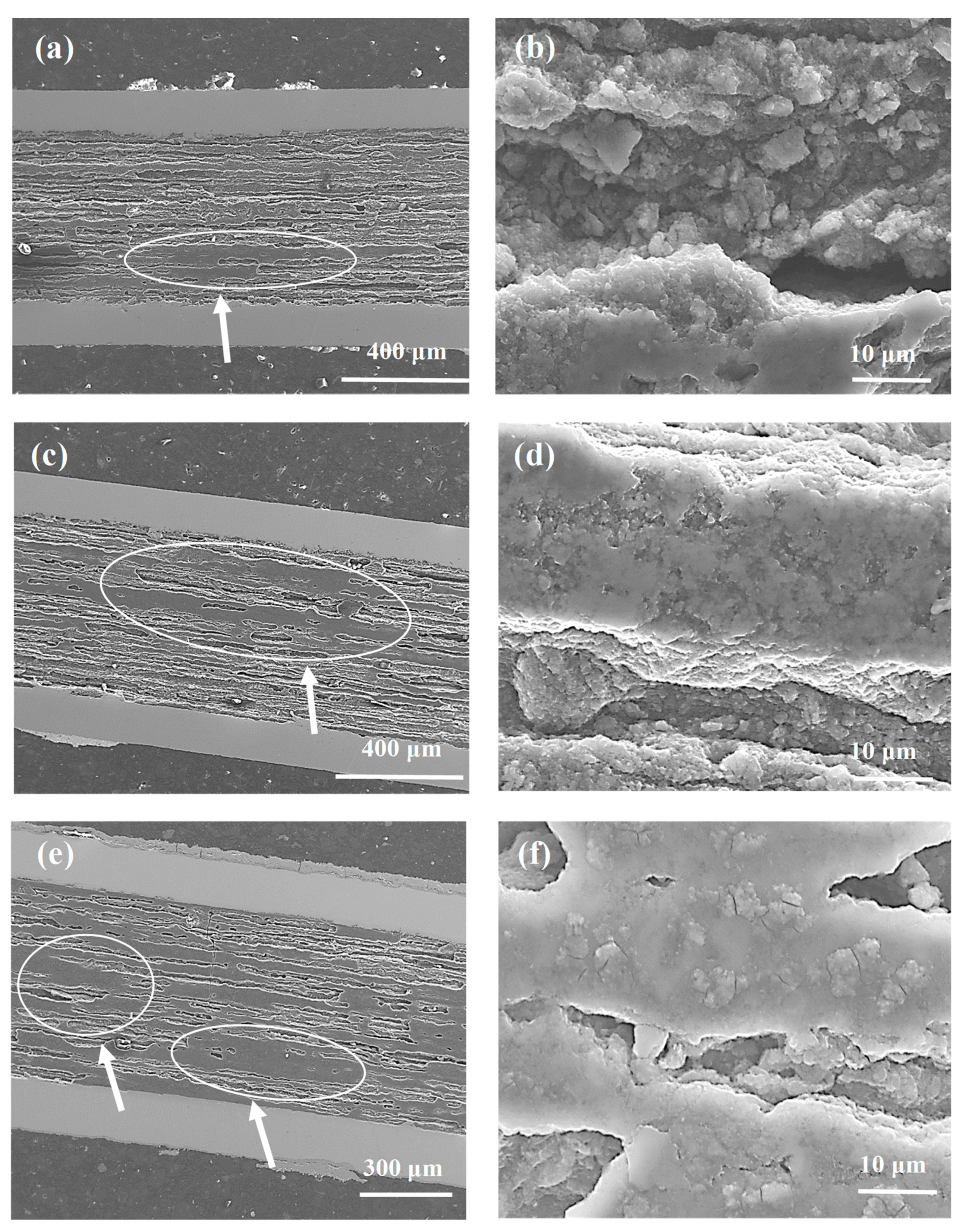 Materials 14 03600 g005