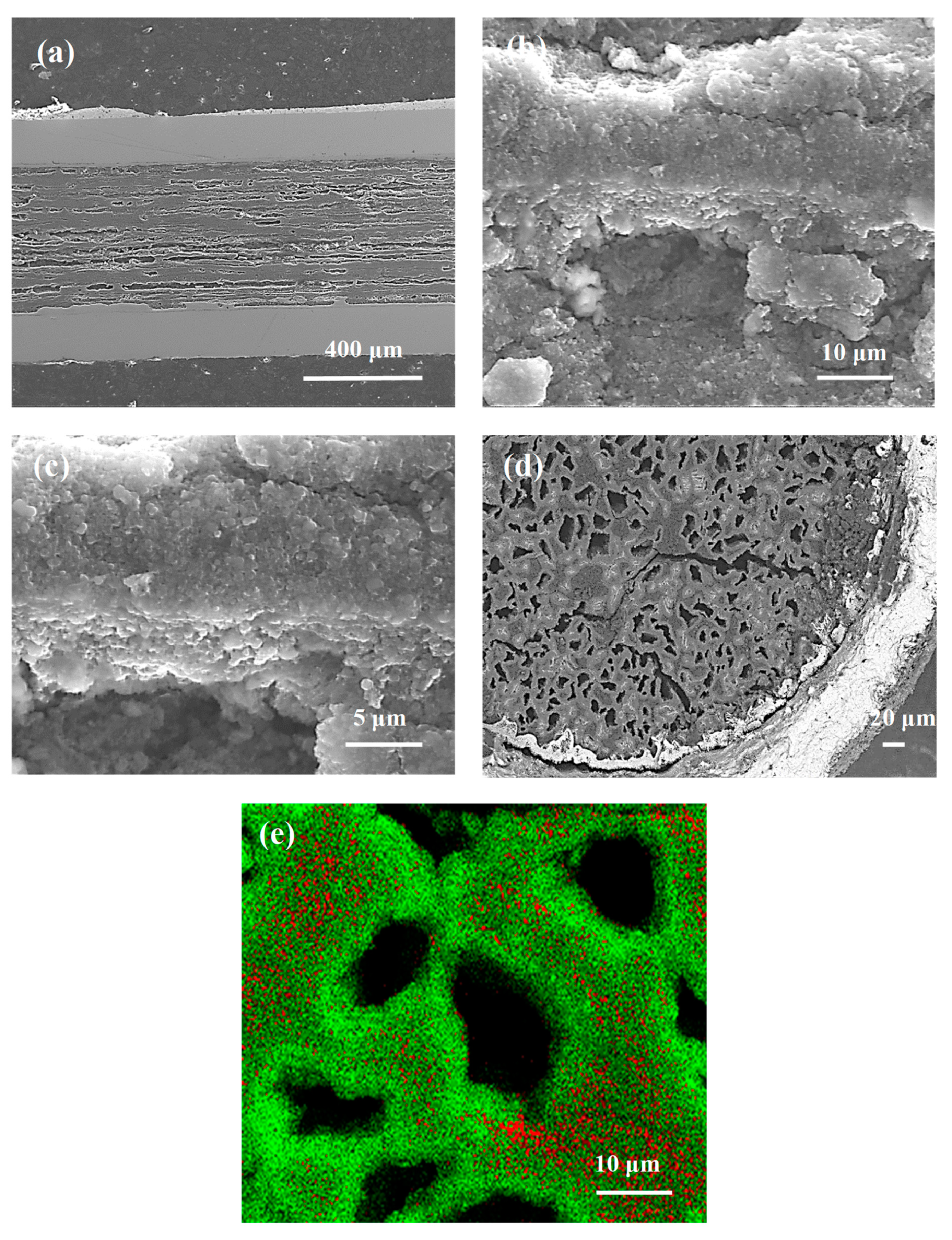 Materials 14 03600 g006