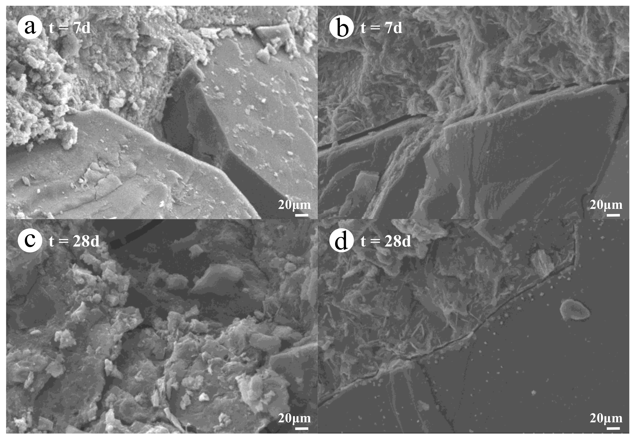 Materials 14 03601 g004 550