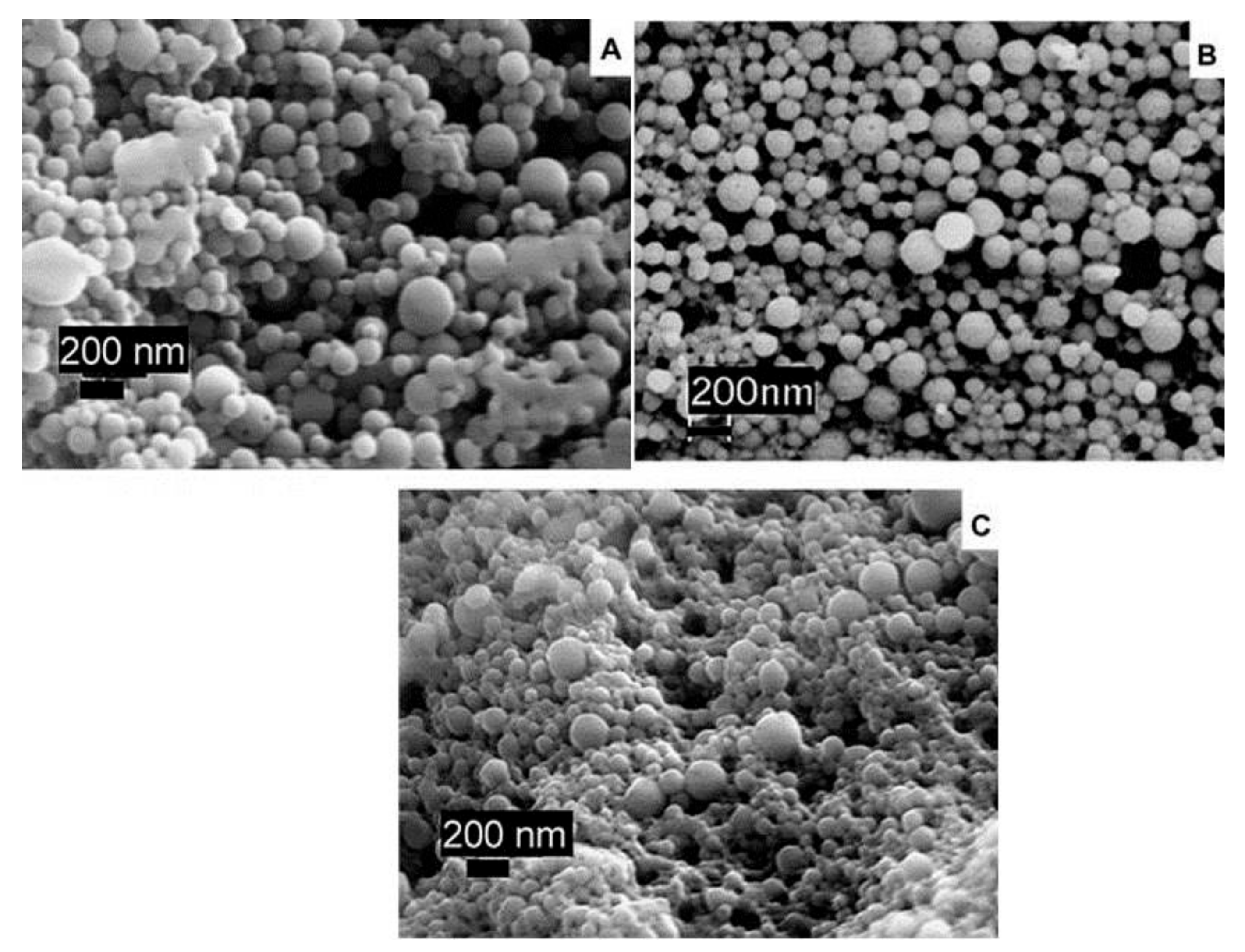 Materials 14 03607 g004 550