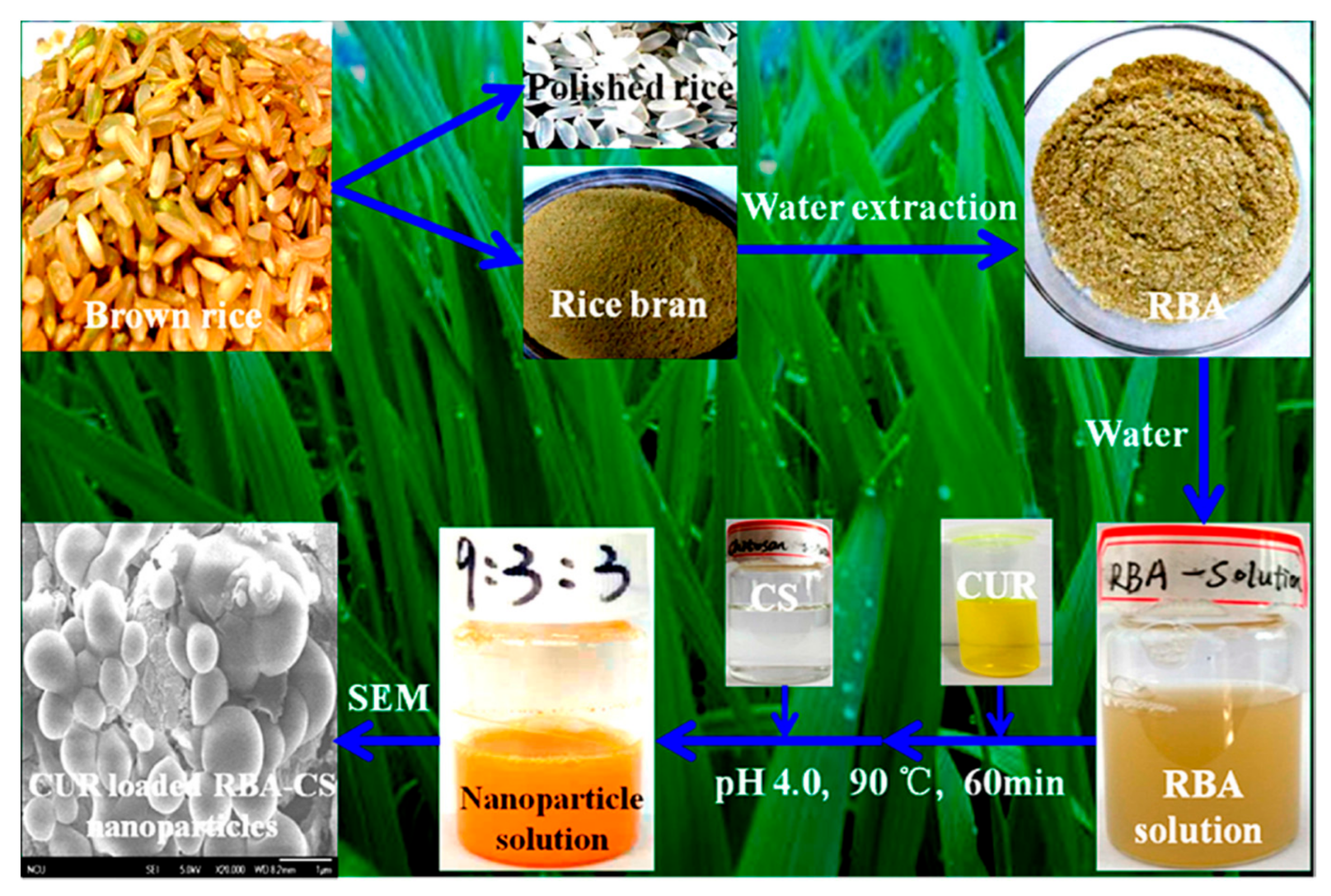 Materials 14 03607 g021 550