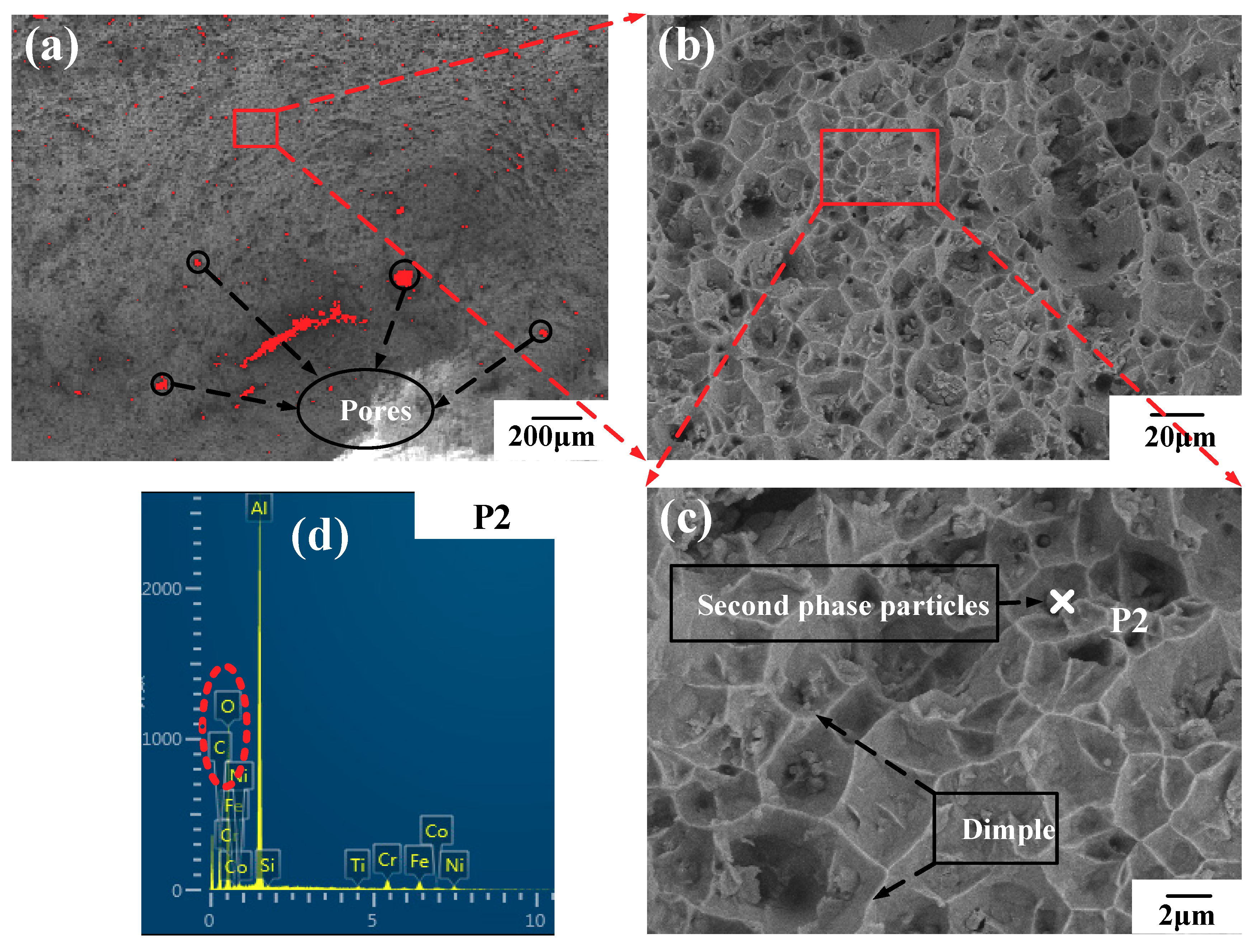 Materials 14 03609 g013