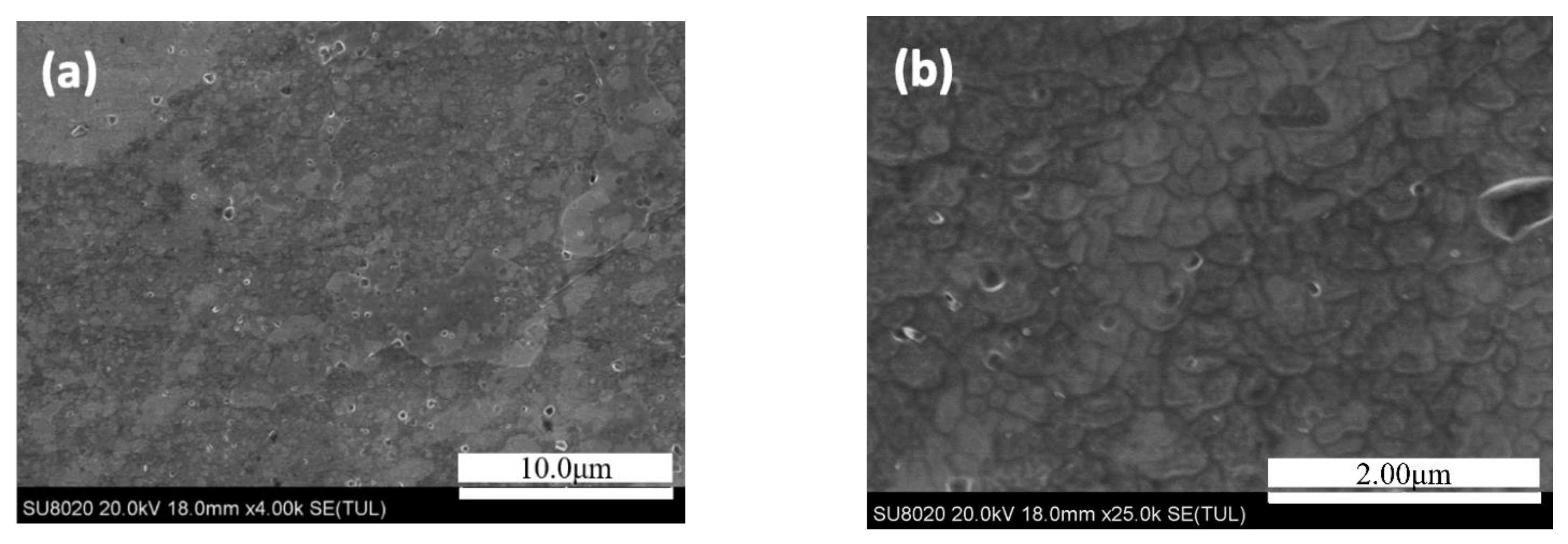 Materials 14 03615 g001 550