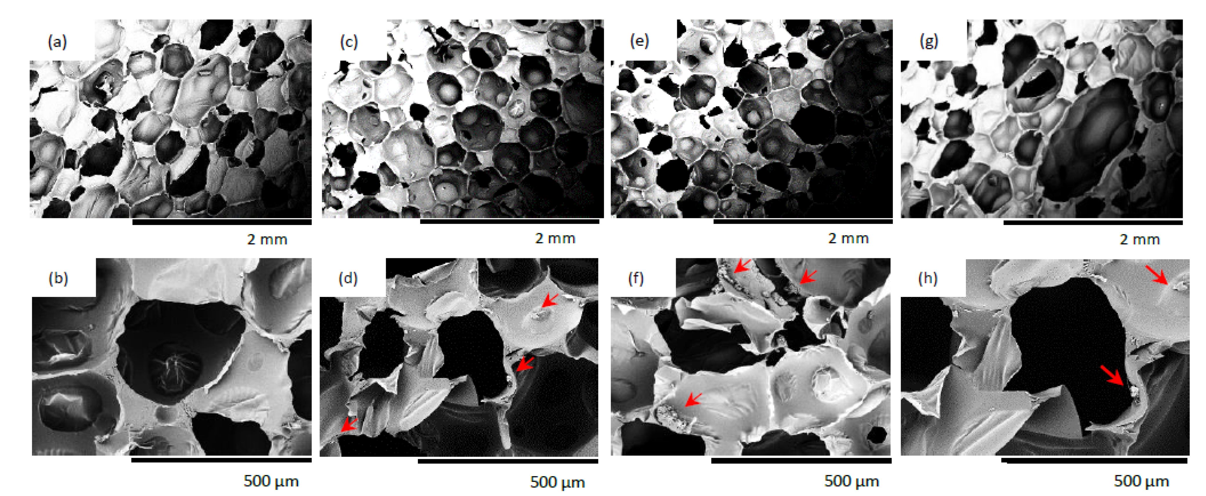 Materials 14 03620 g007 550