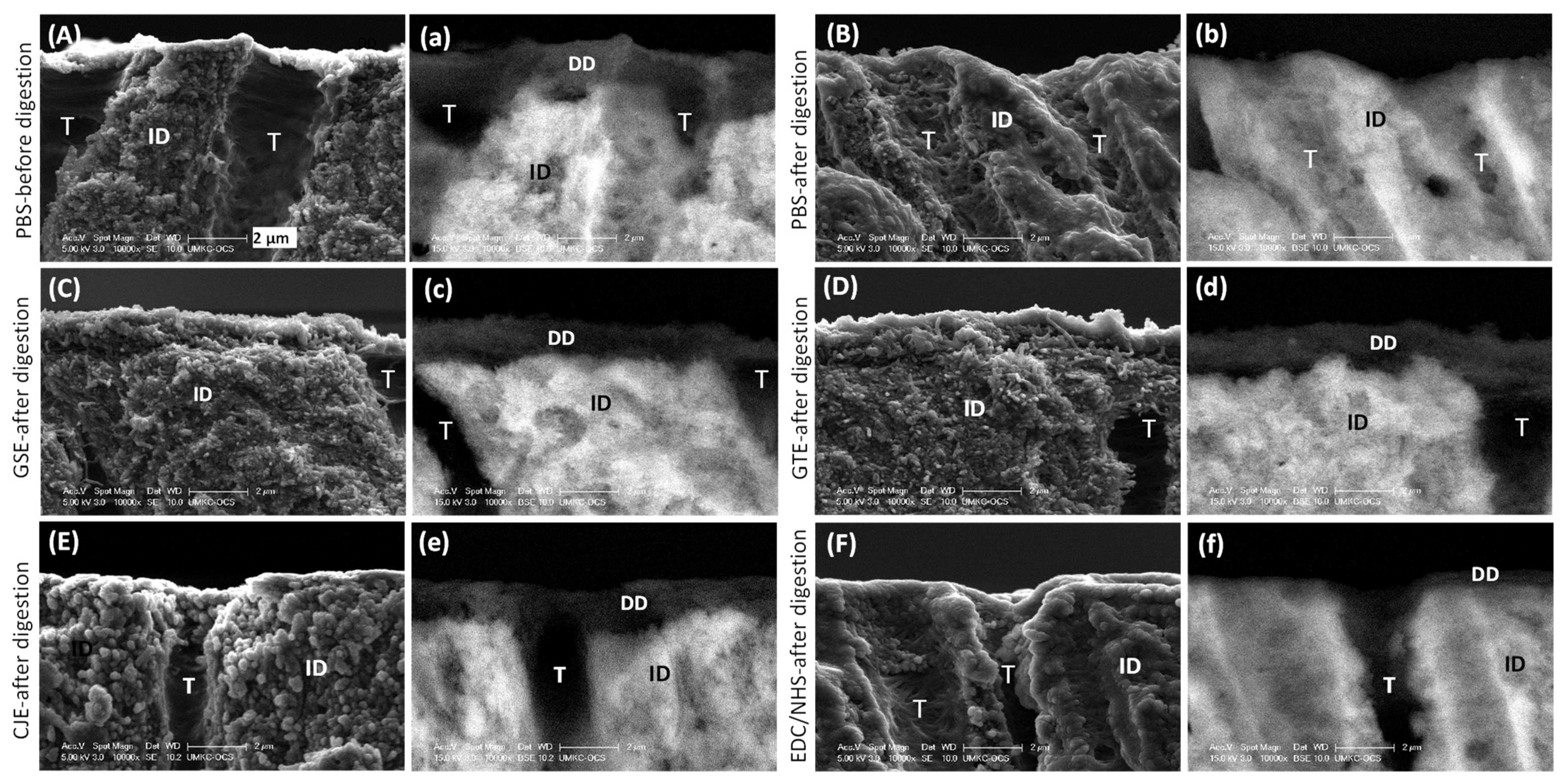 Materials 14 03637 g003 550