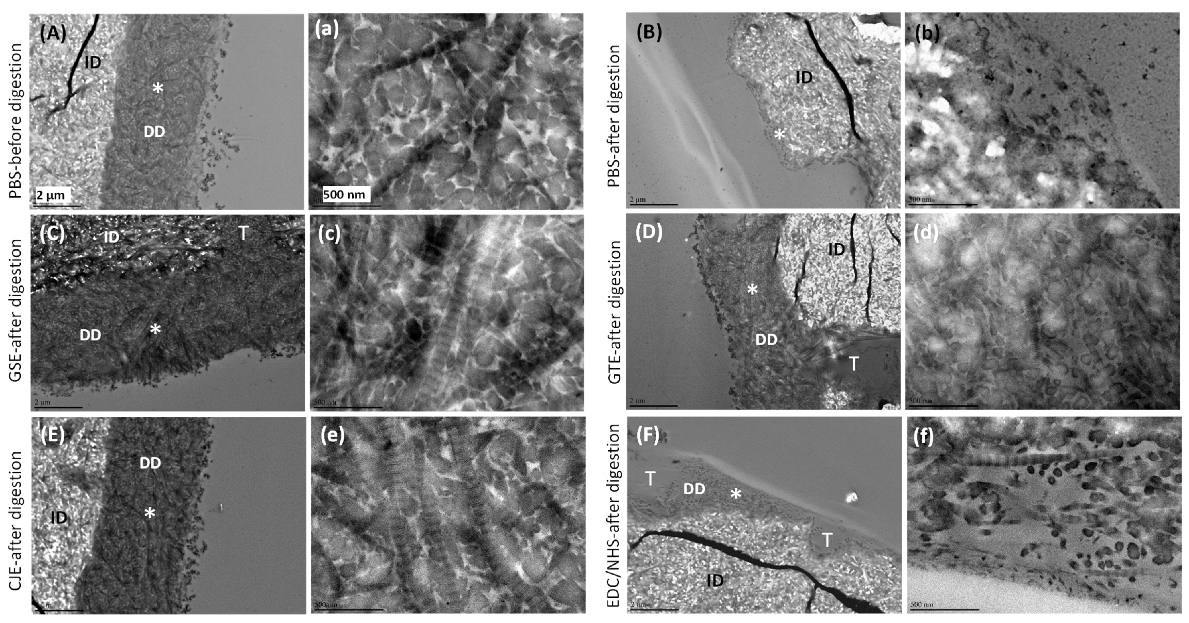 Materials 14 03637 g004 550