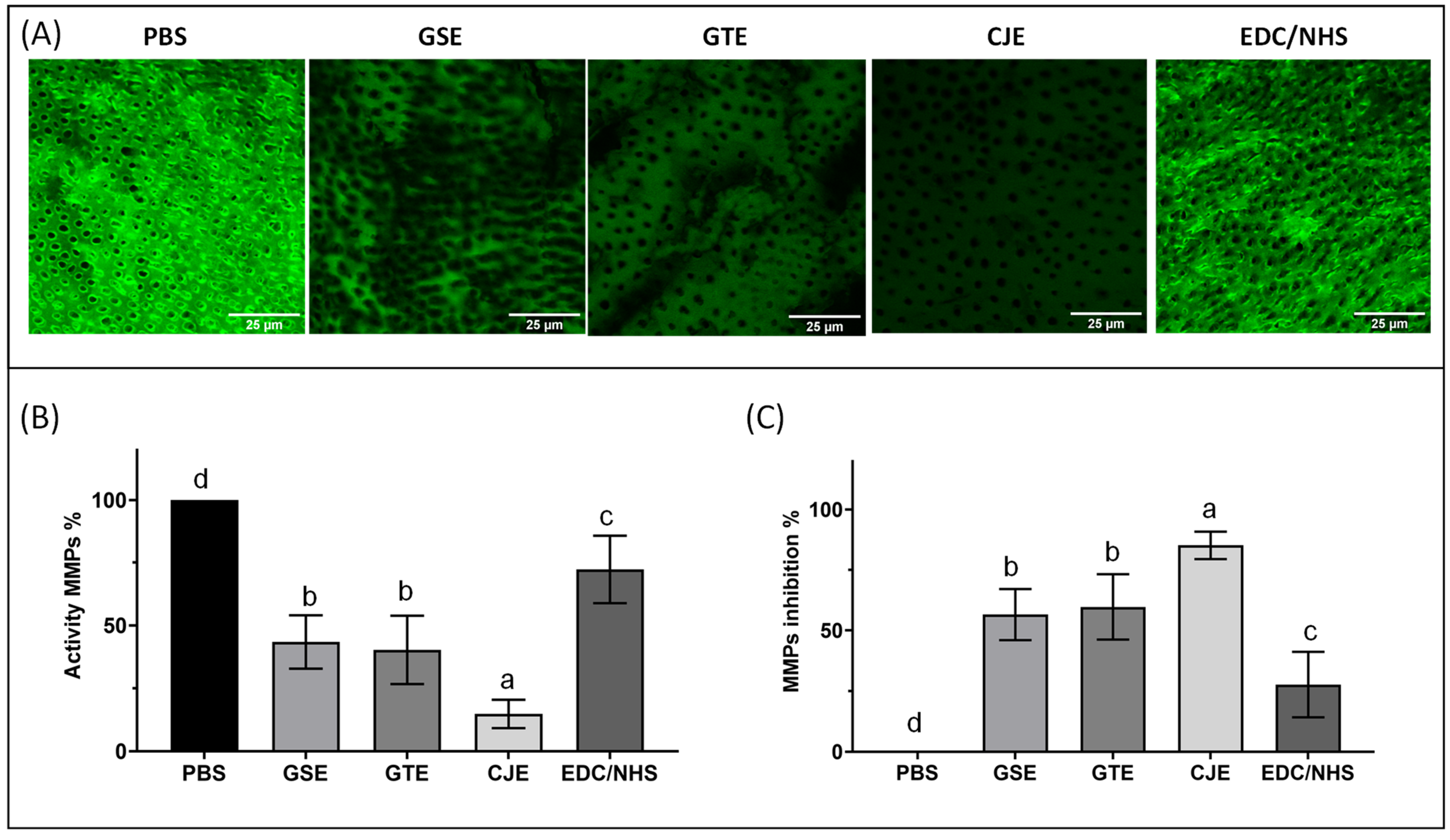 Materials 14 03637 g005 550