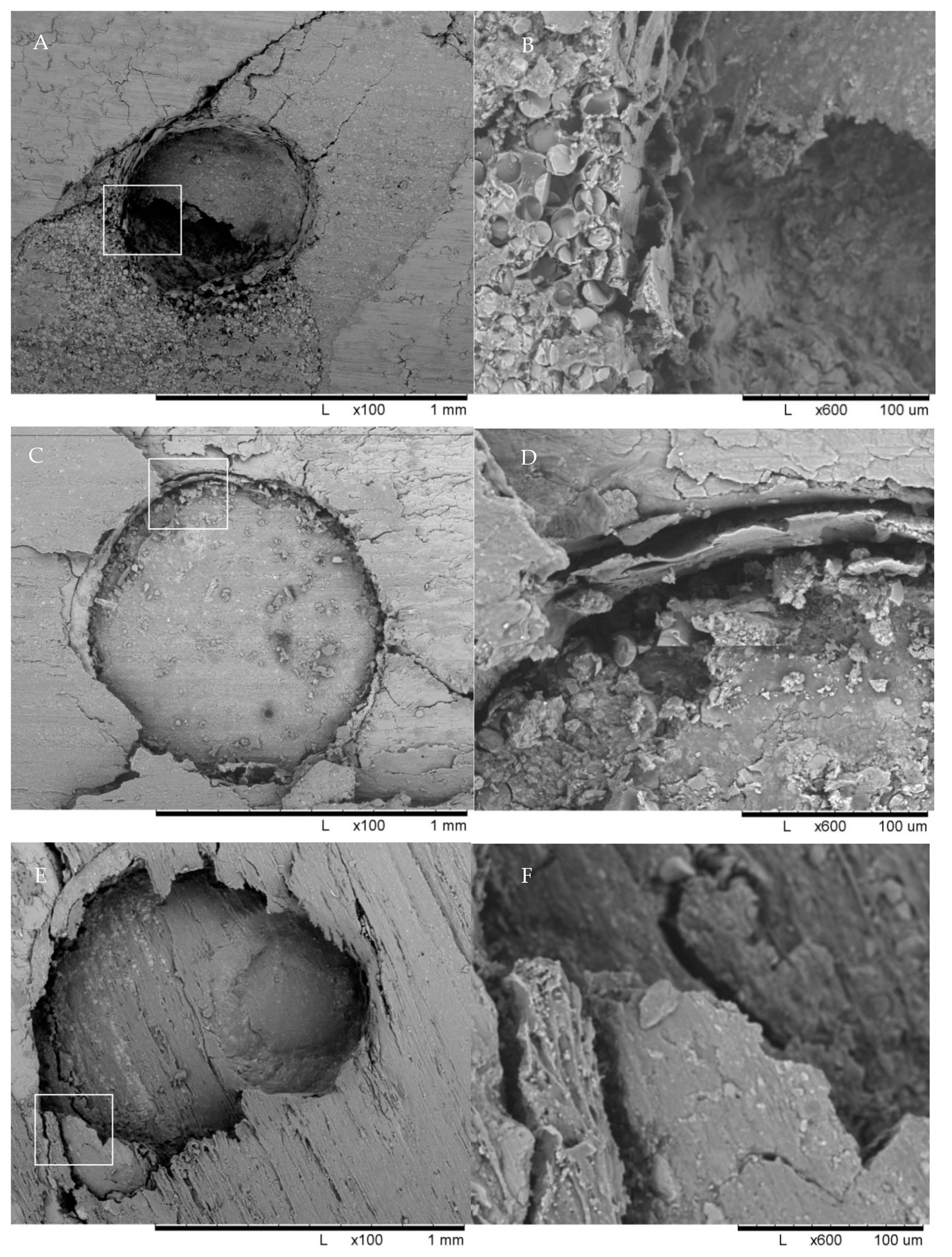 Materials 14 03639 g003a 550