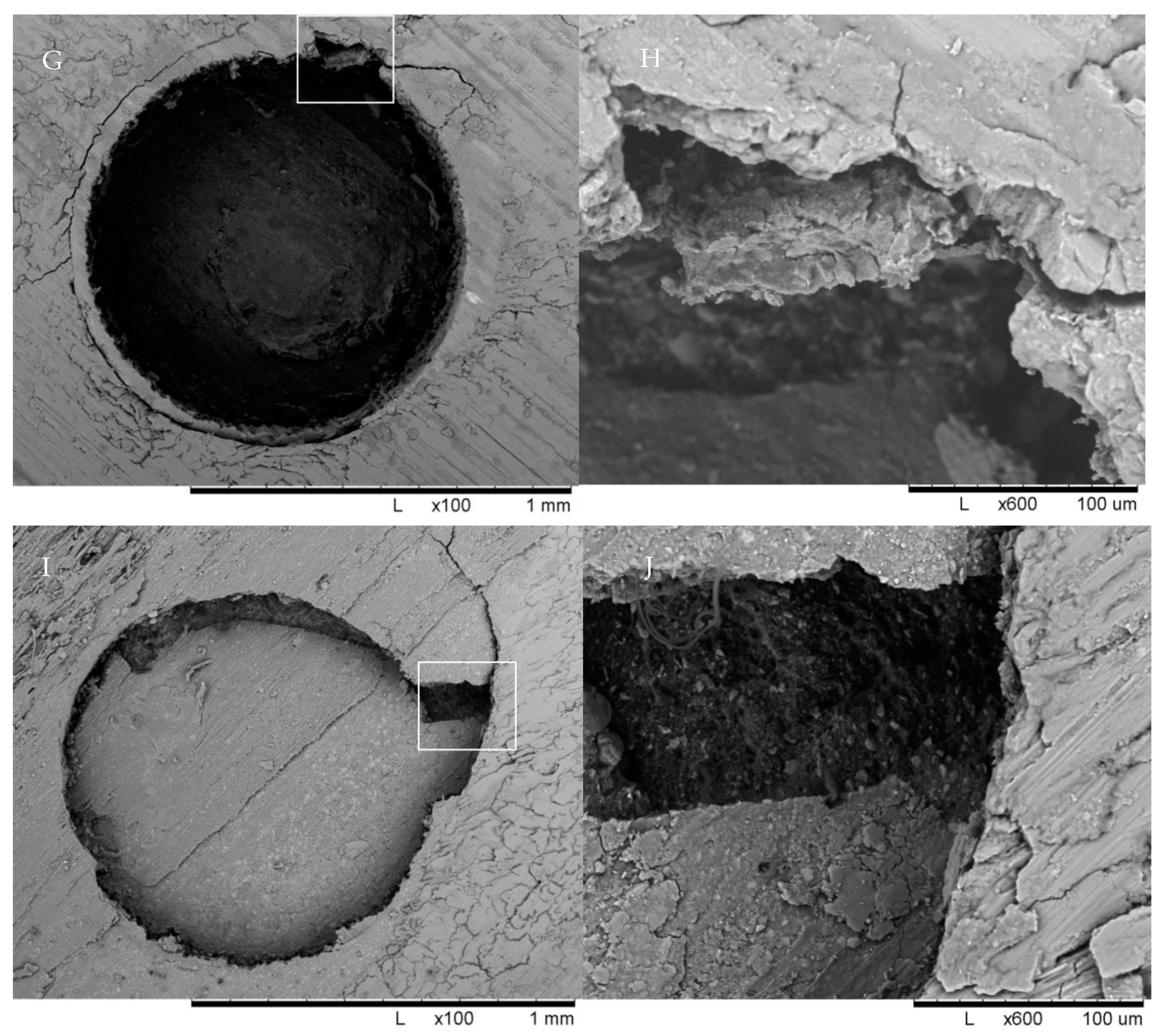 Materials 14 03639 g003b 550