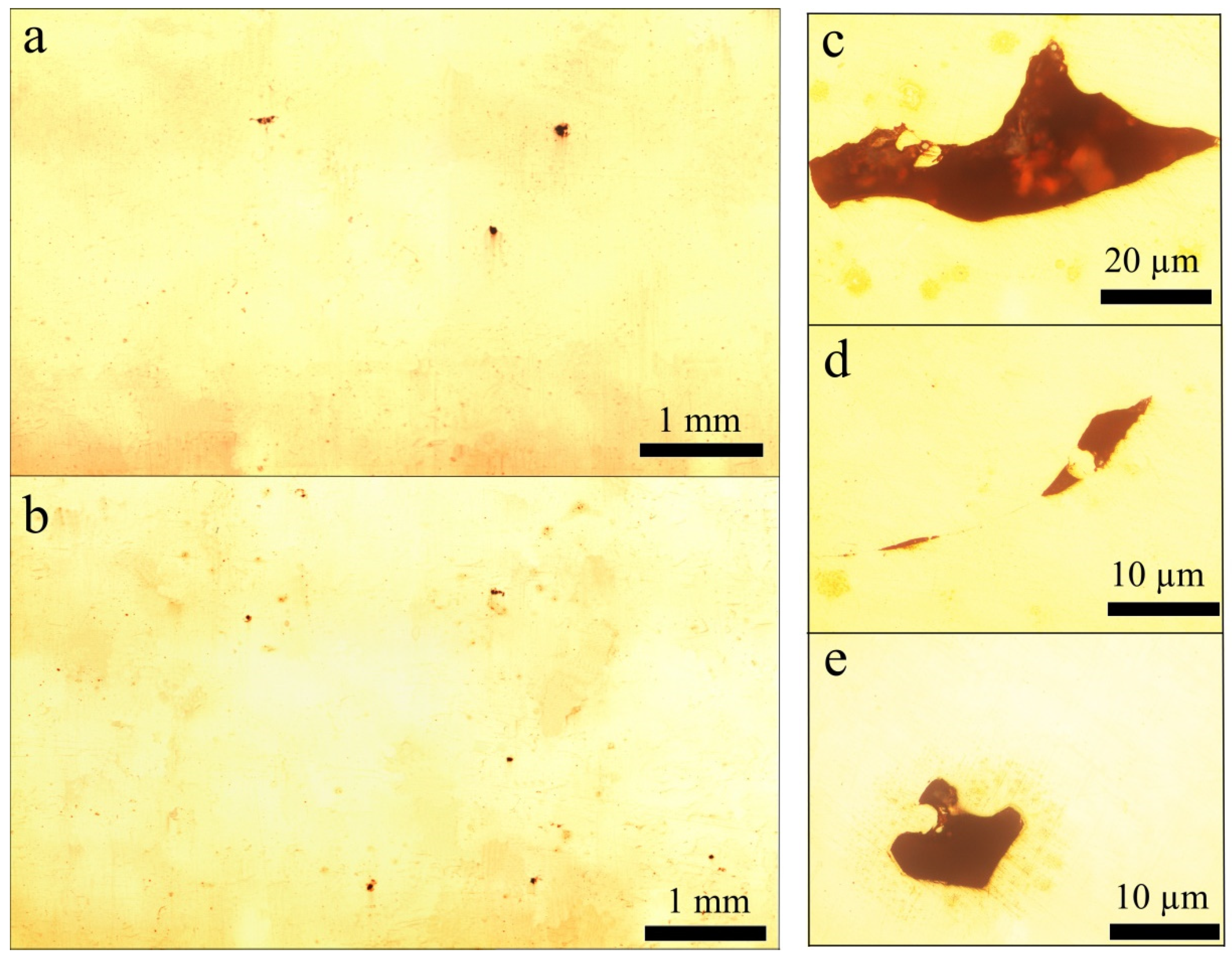 Materials 14 03644 g002