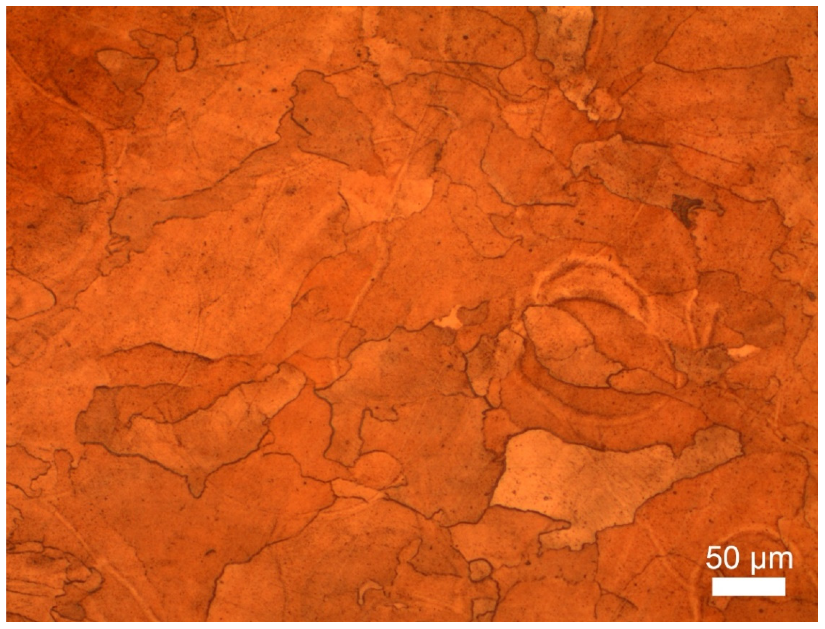 Materials 14 03644 g003