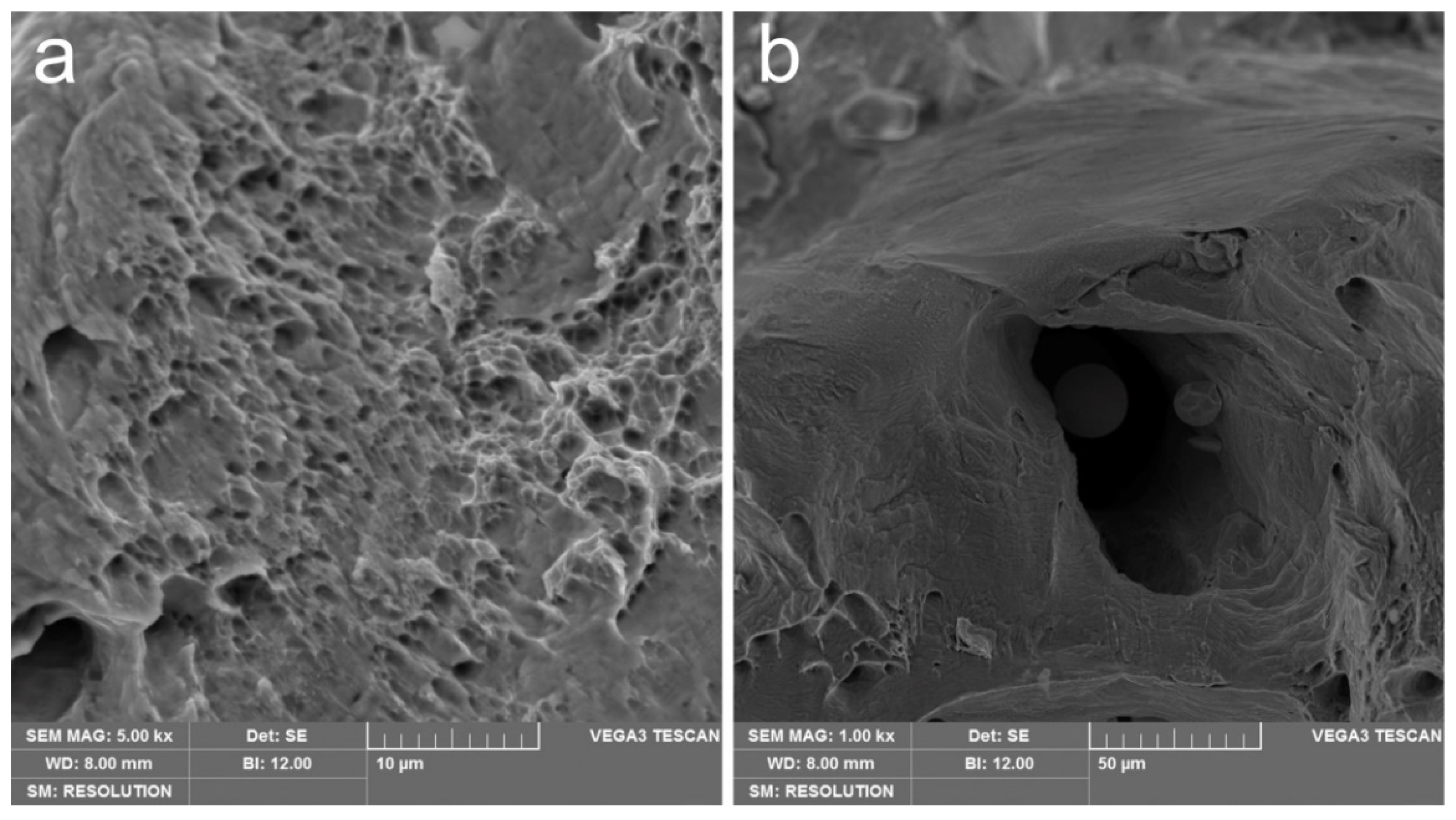 Materials 14 03644 g007