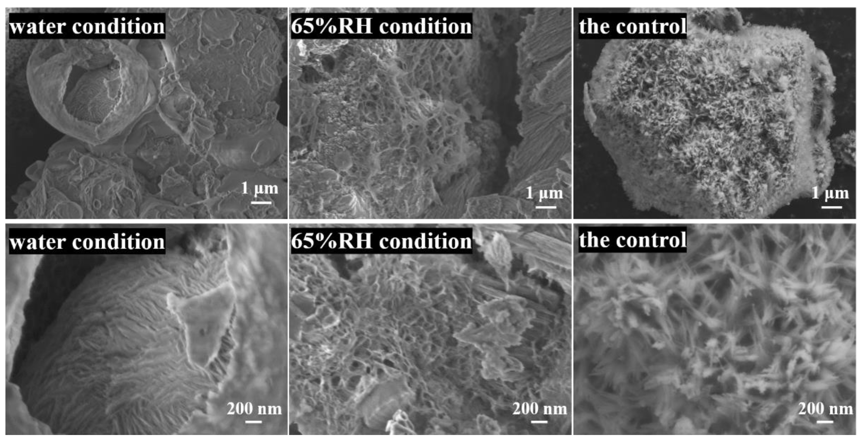 Materials 14 03645 g007