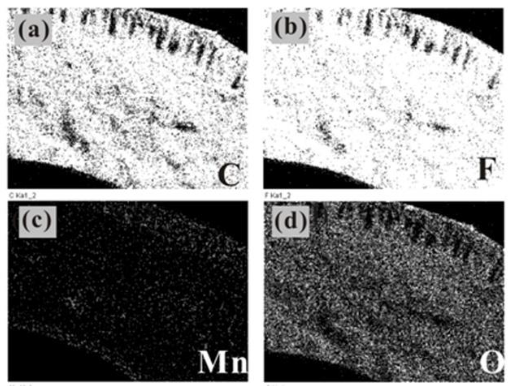 Materials 14 03651 g004