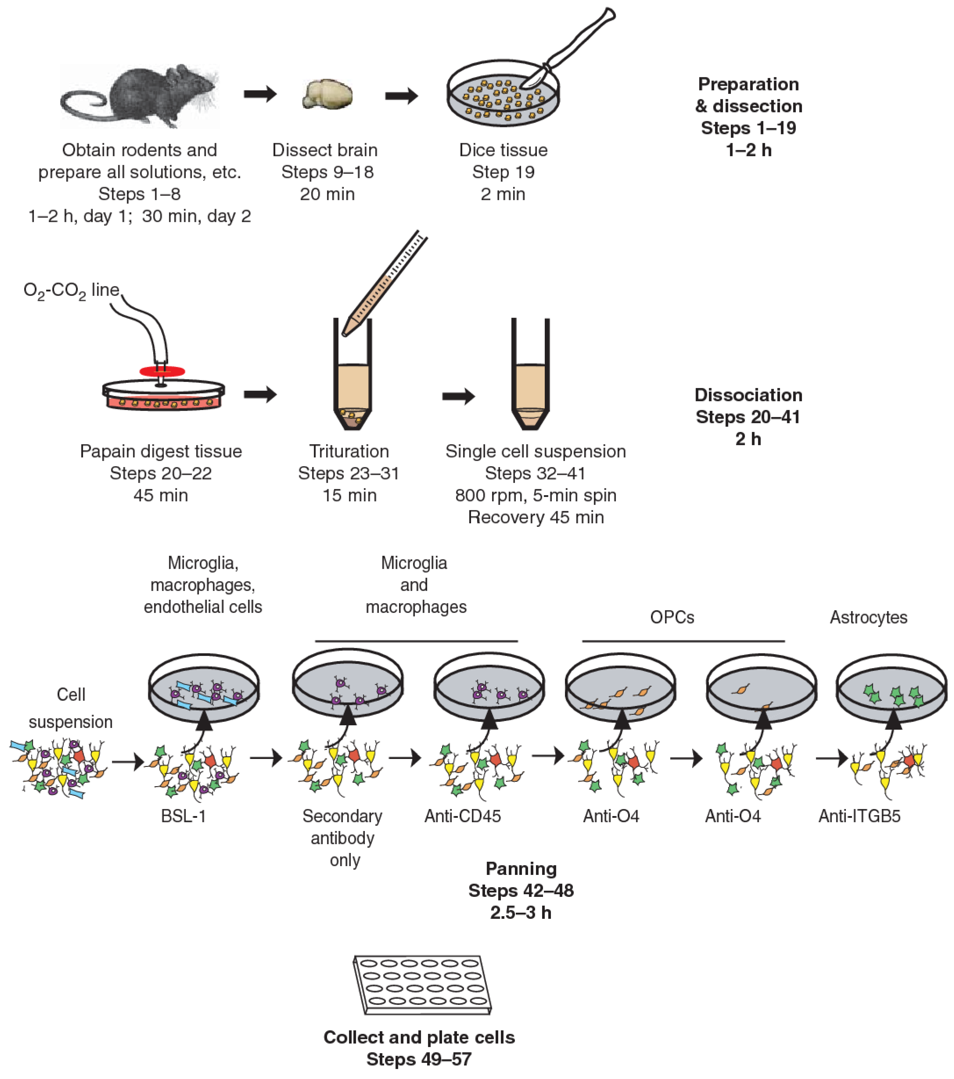 Materials 14 03664 g002