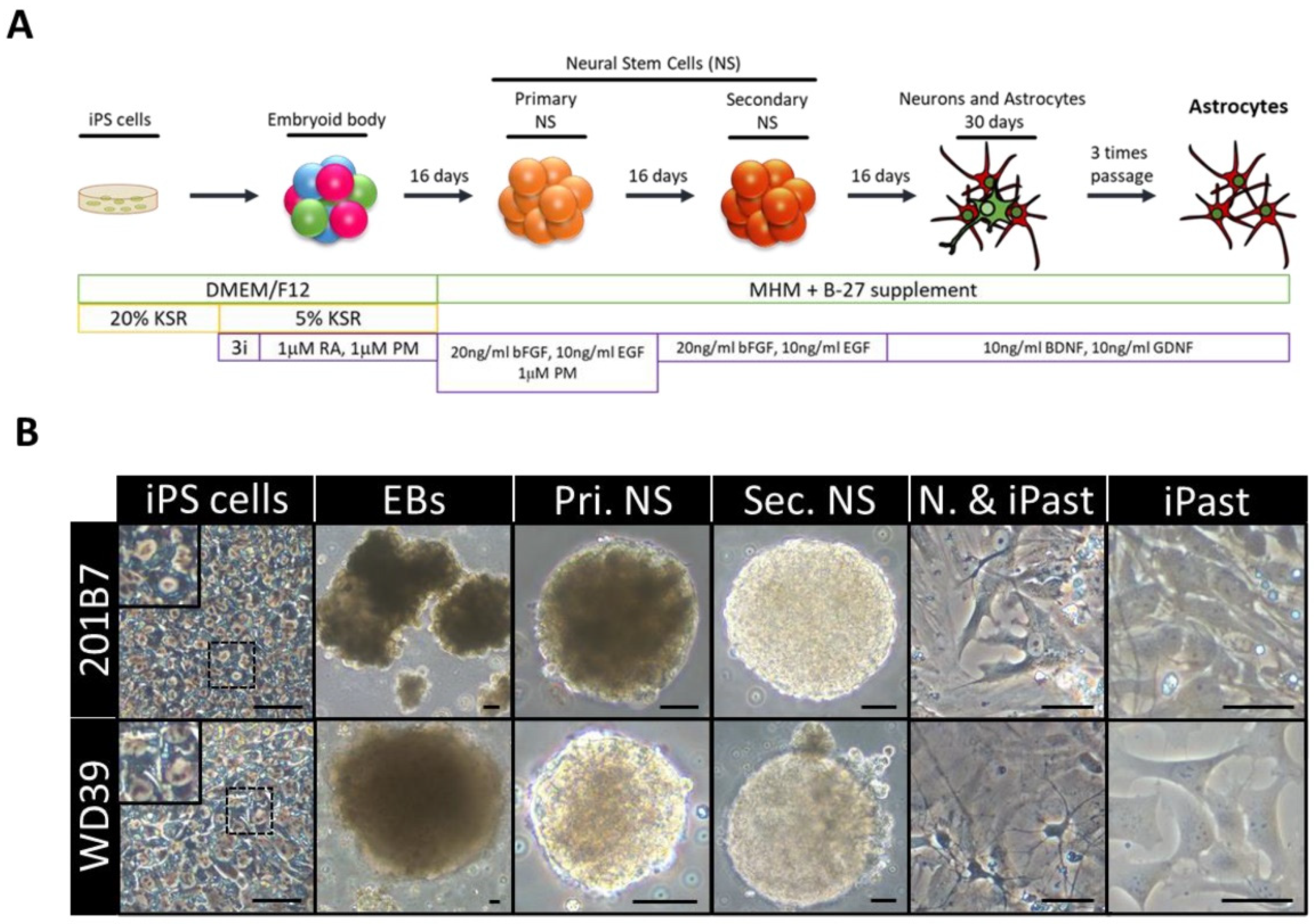 Materials 14 03664 g004