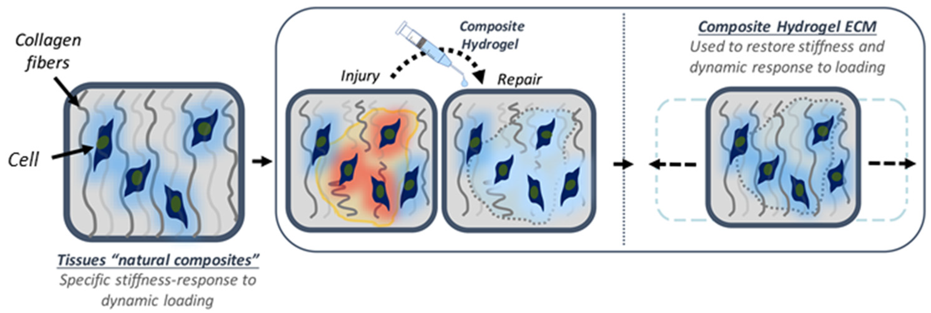 Materials 14 03664 g005