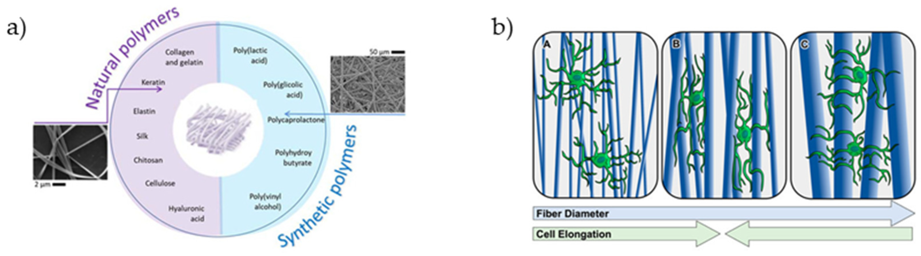 Materials 14 03664 g006