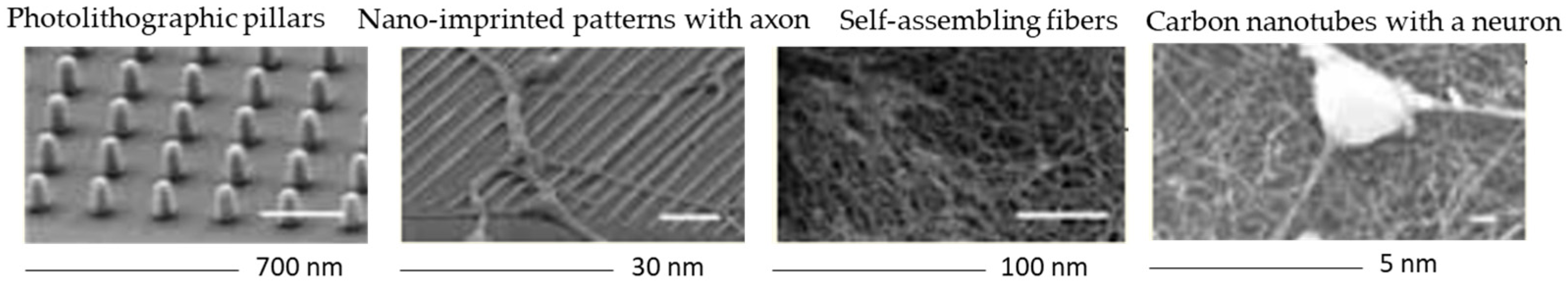 Materials 14 03664 g007