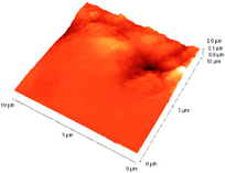 Materials 14 03666 i012 Materials 14 03666 i012