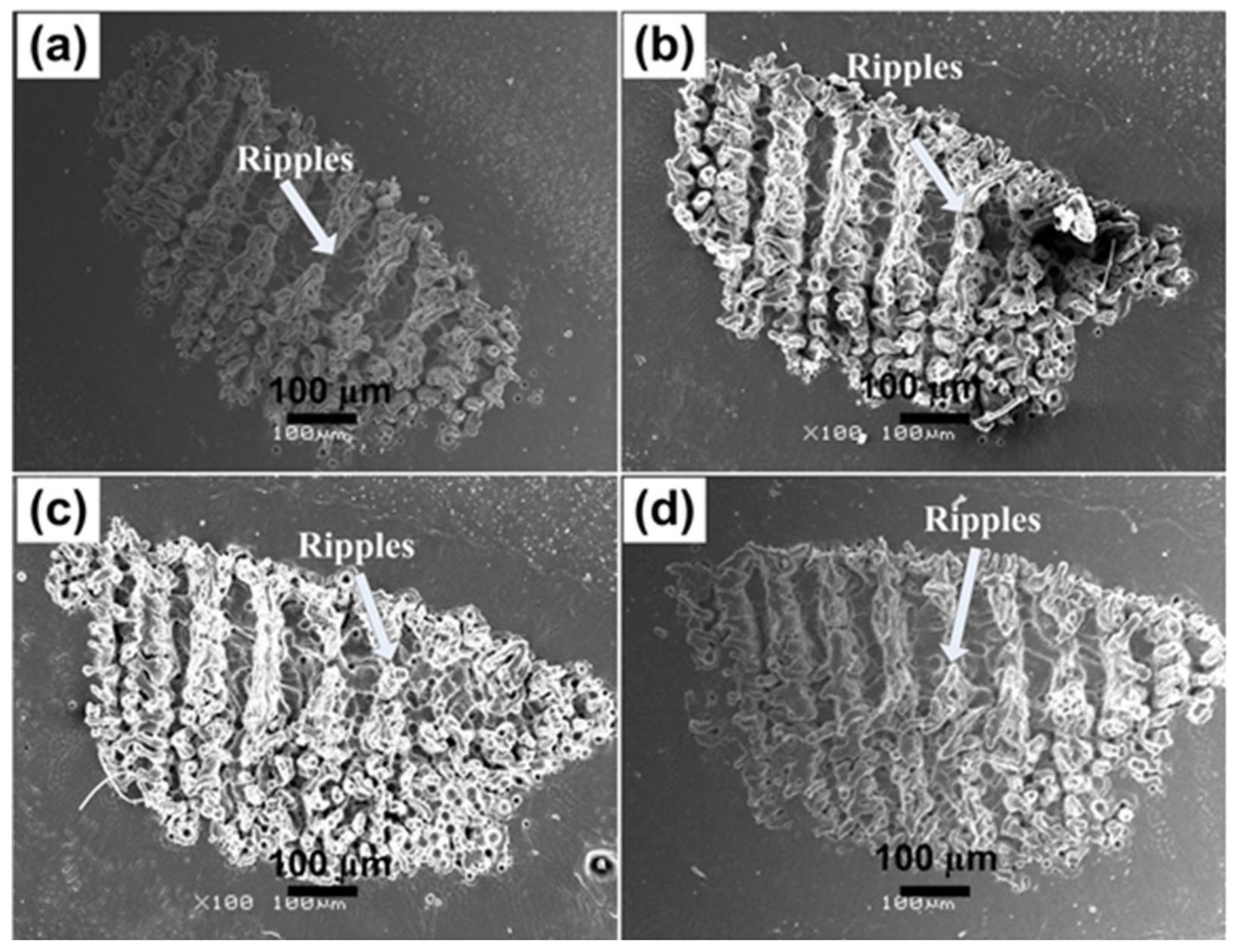 Materials 14 03671 g001