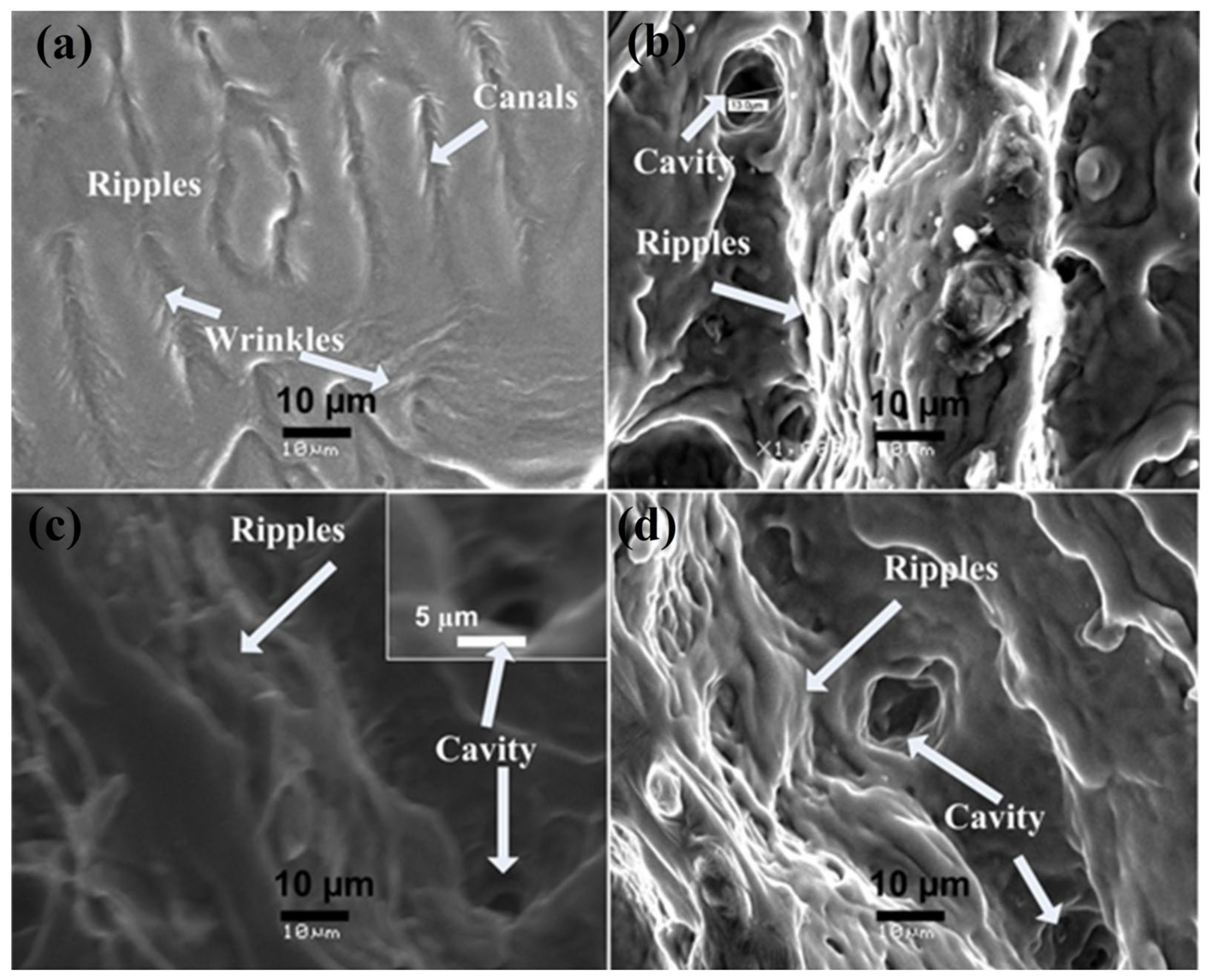 Materials 14 03671 g004