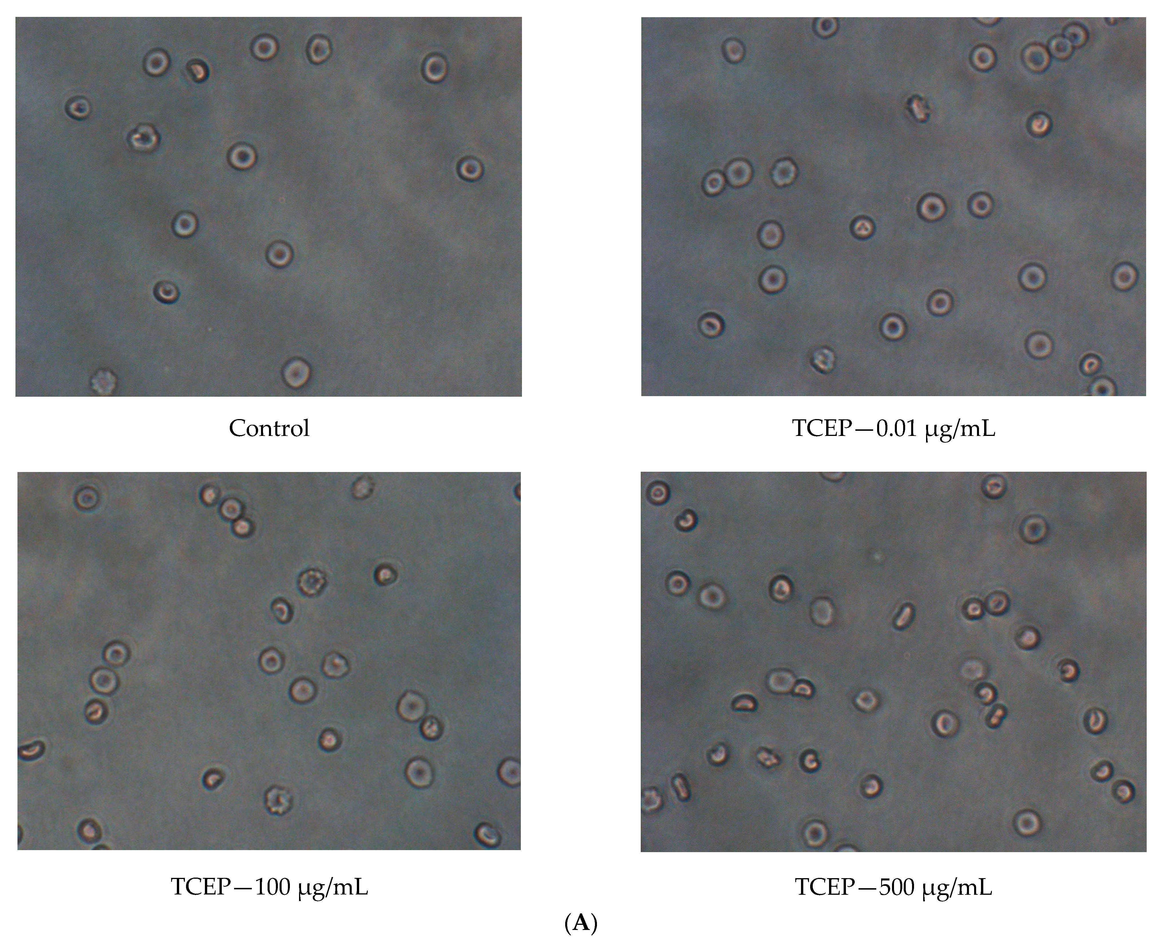 Materials 14 03675 g004a 550