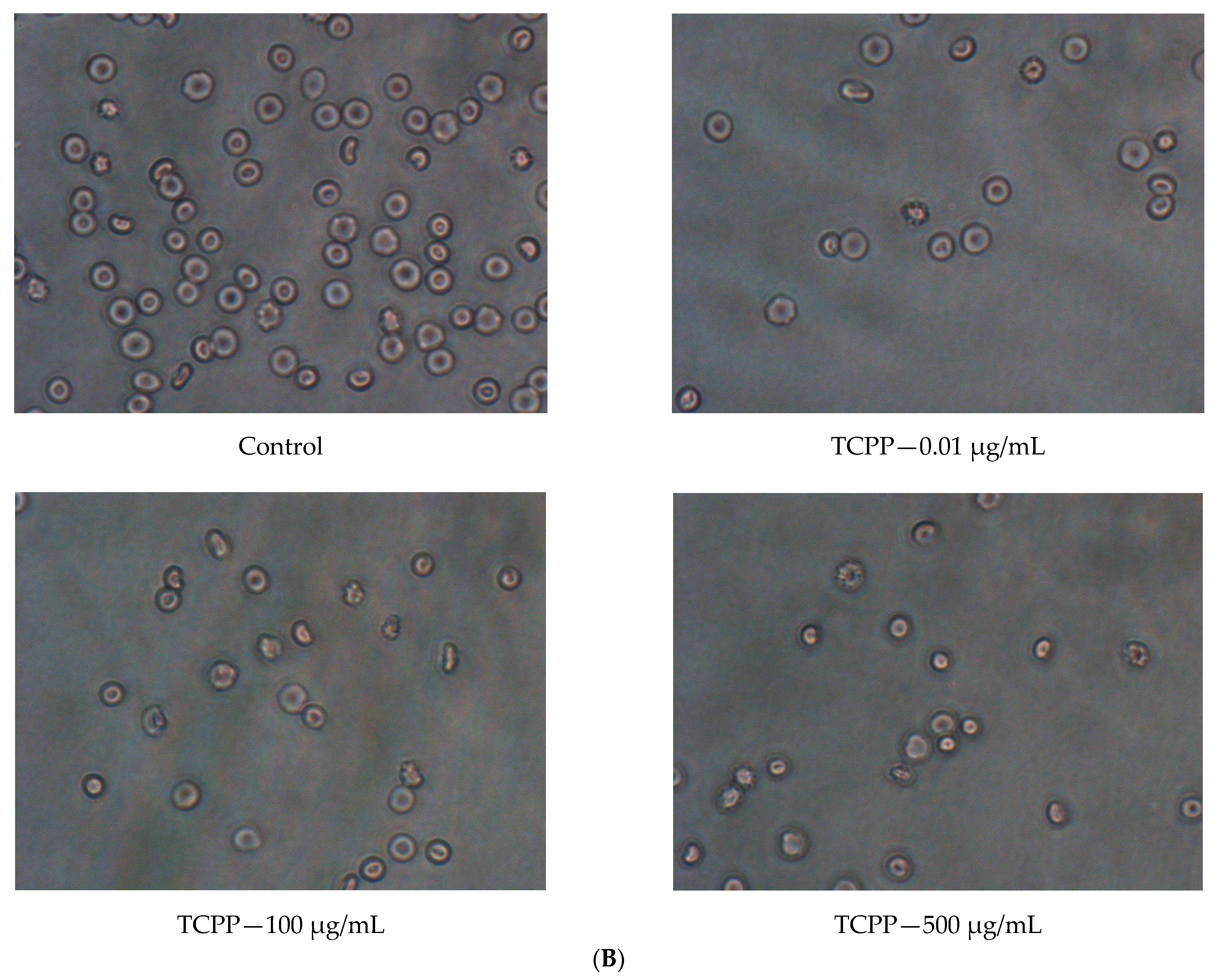 Materials 14 03675 g004b 550