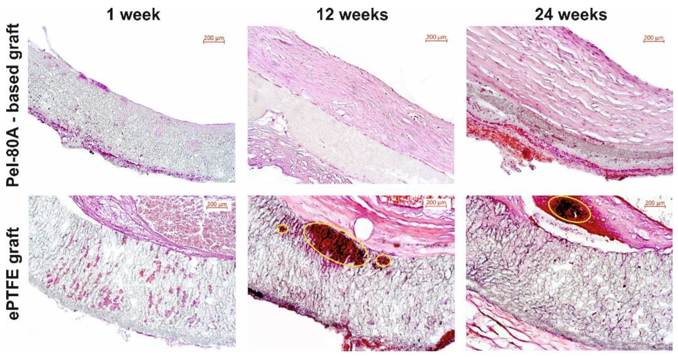 Materials 14 03678 g006 Materials 14 03678 g006