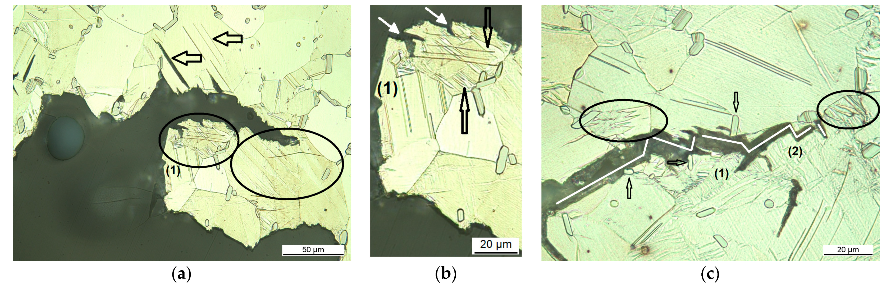Materials 14 03686 g004 Materials 14 03686 g004