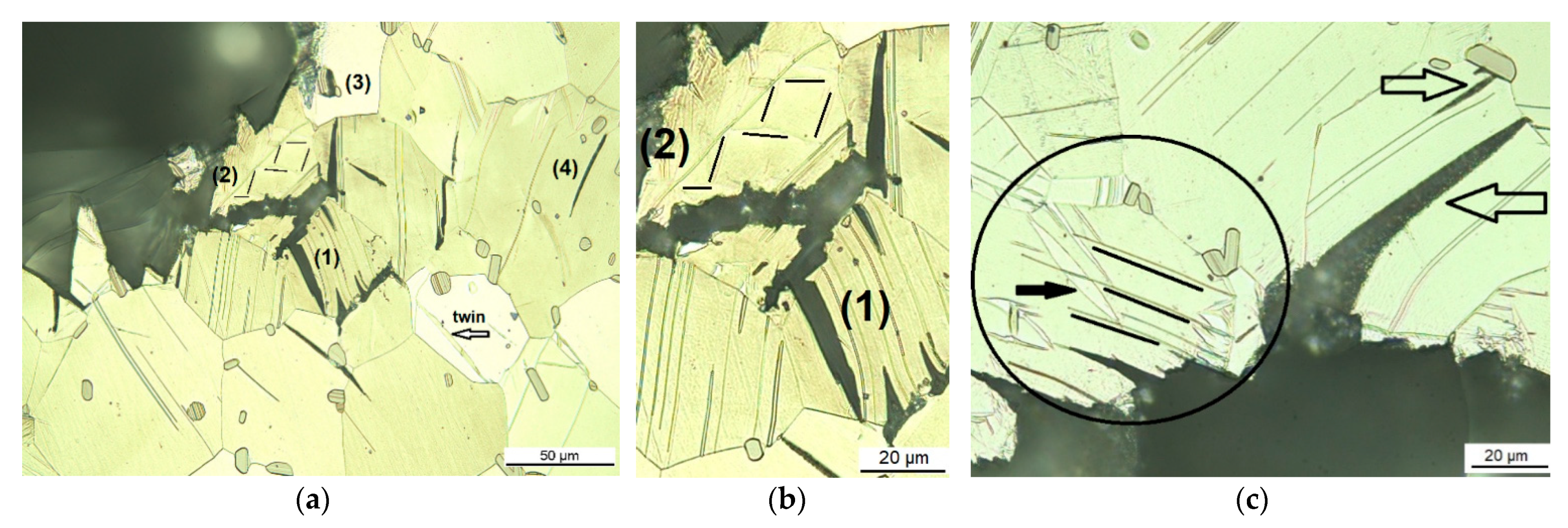 Materials 14 03686 g006 Materials 14 03686 g006