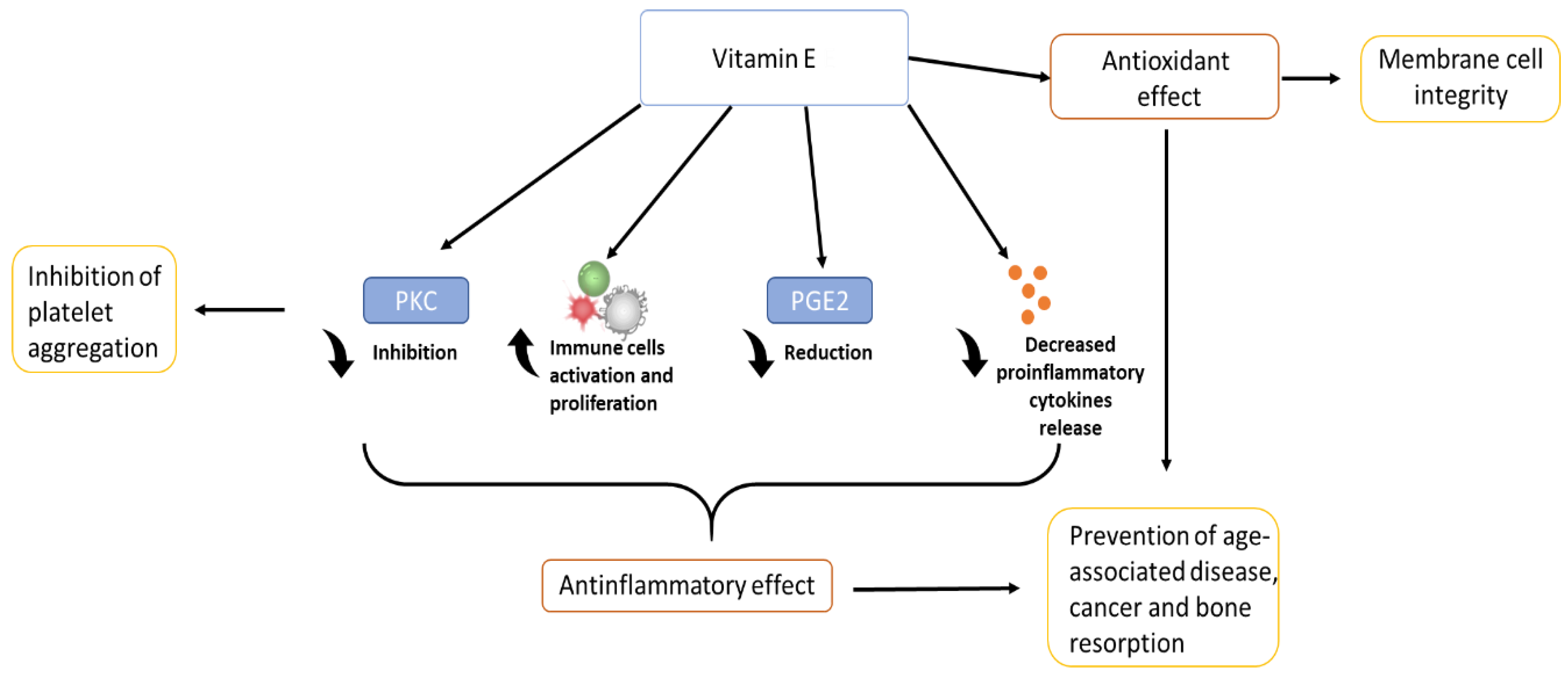 Materials 14 03691 g003 550
