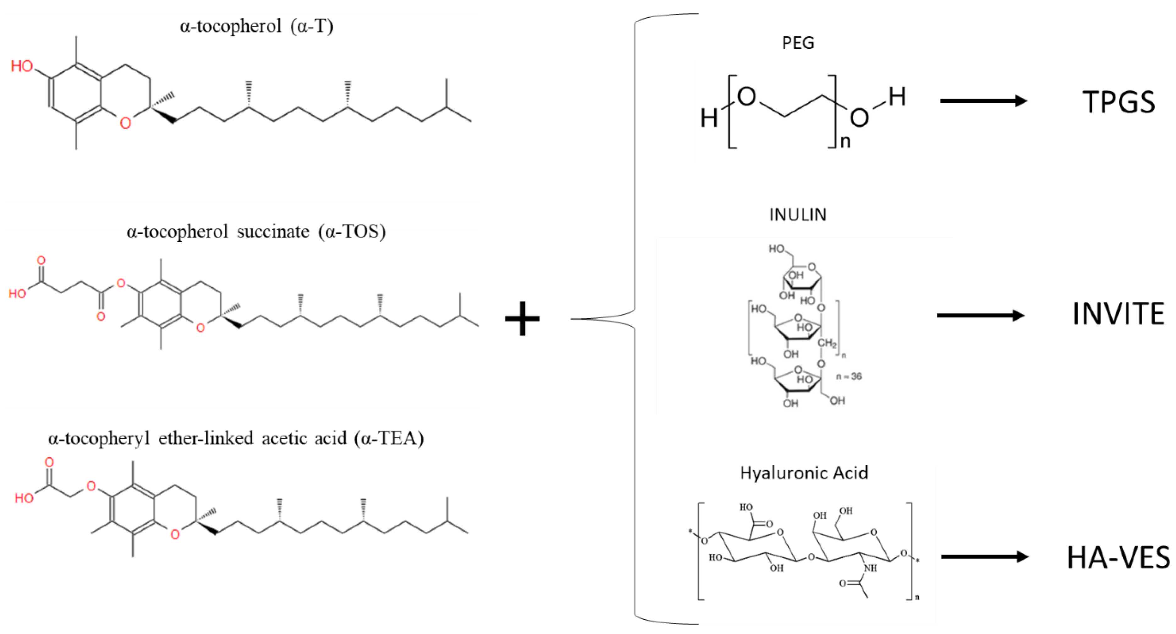 Materials 14 03691 g005 550