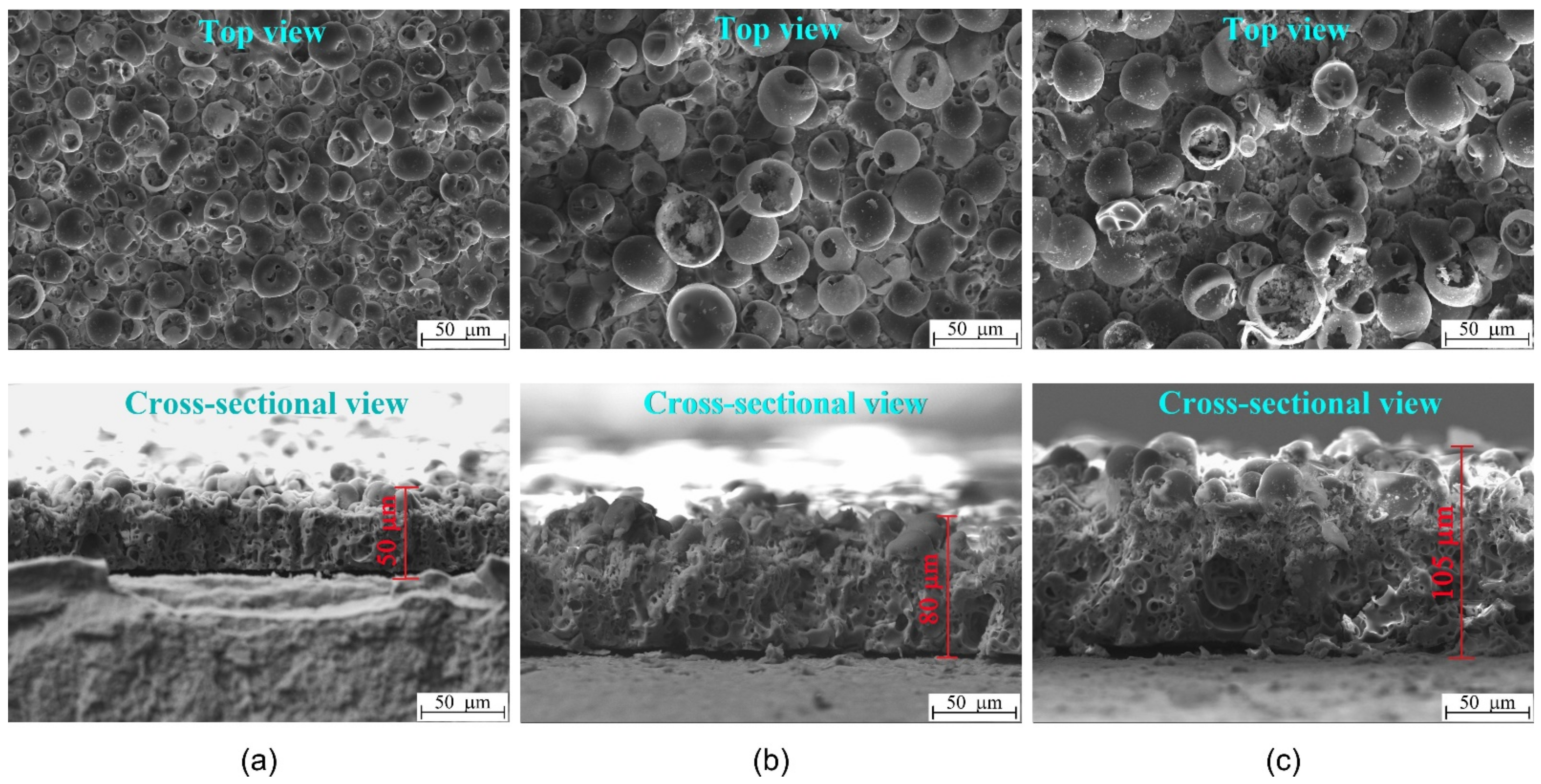 Materials 14 03693 g001