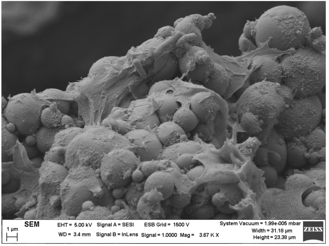 Materials 14 03695 g005 550