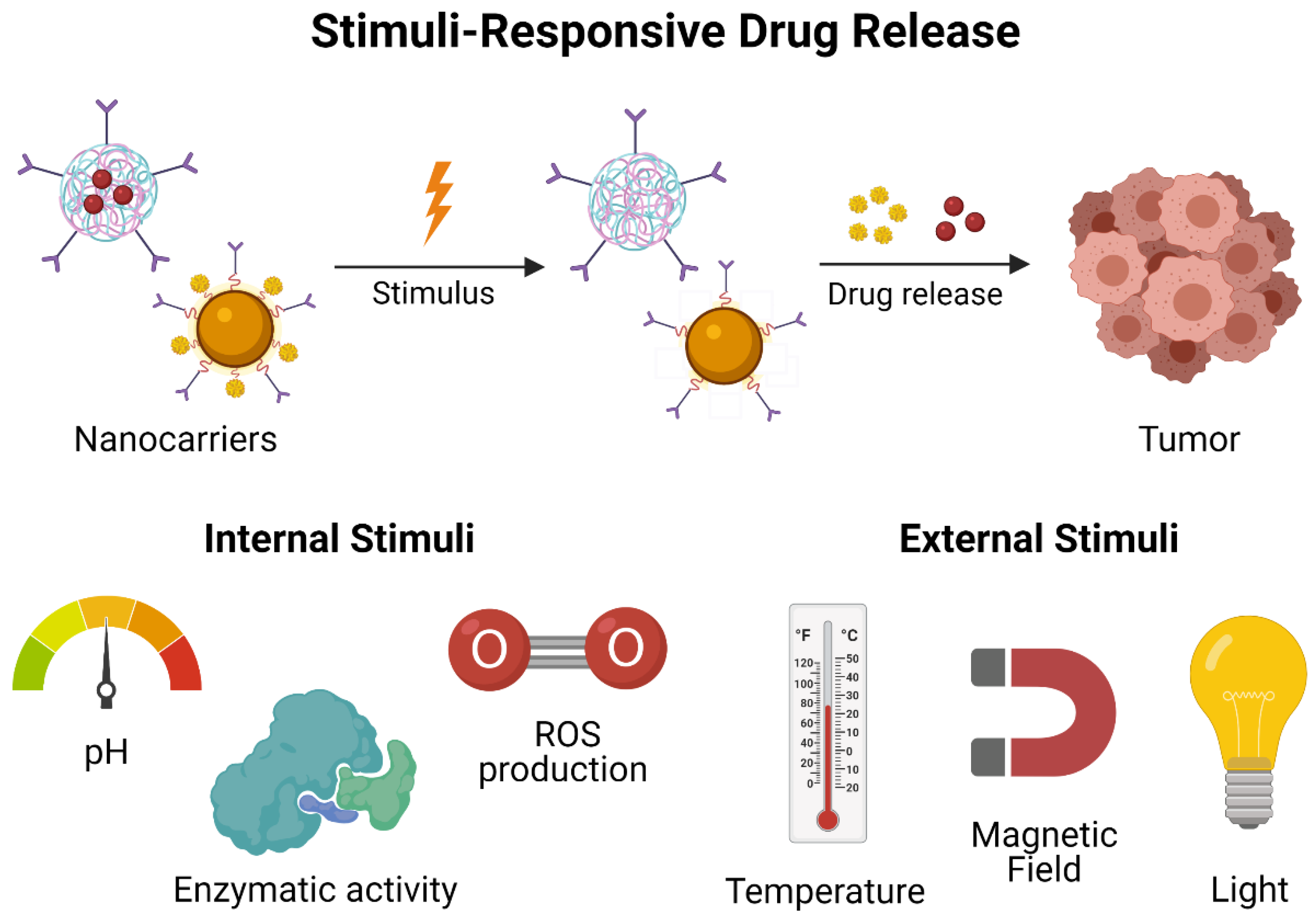 Materials 14 03706 g003 550