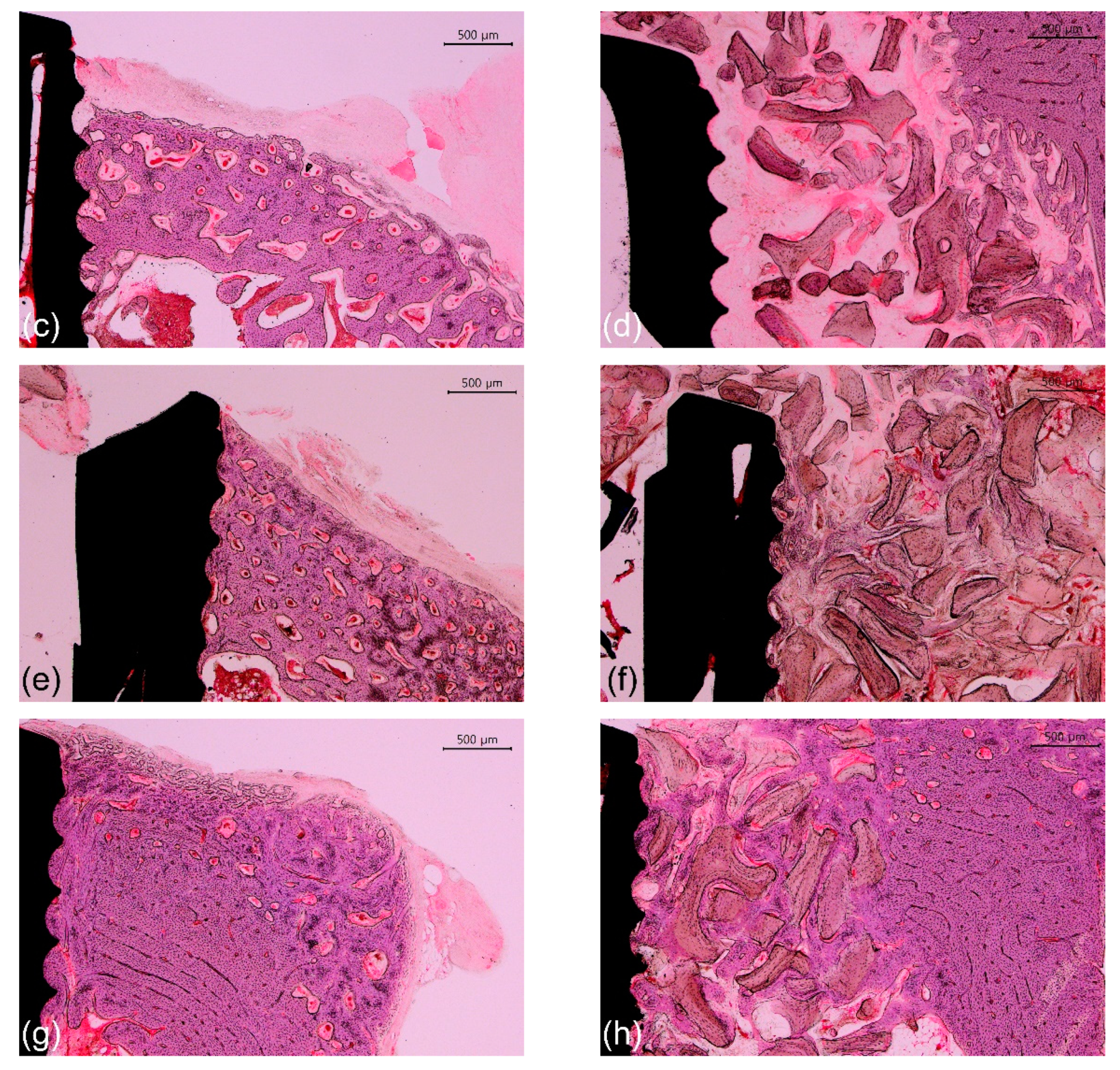 Materials 14 03707 g007b Materials 14 03707 g007b