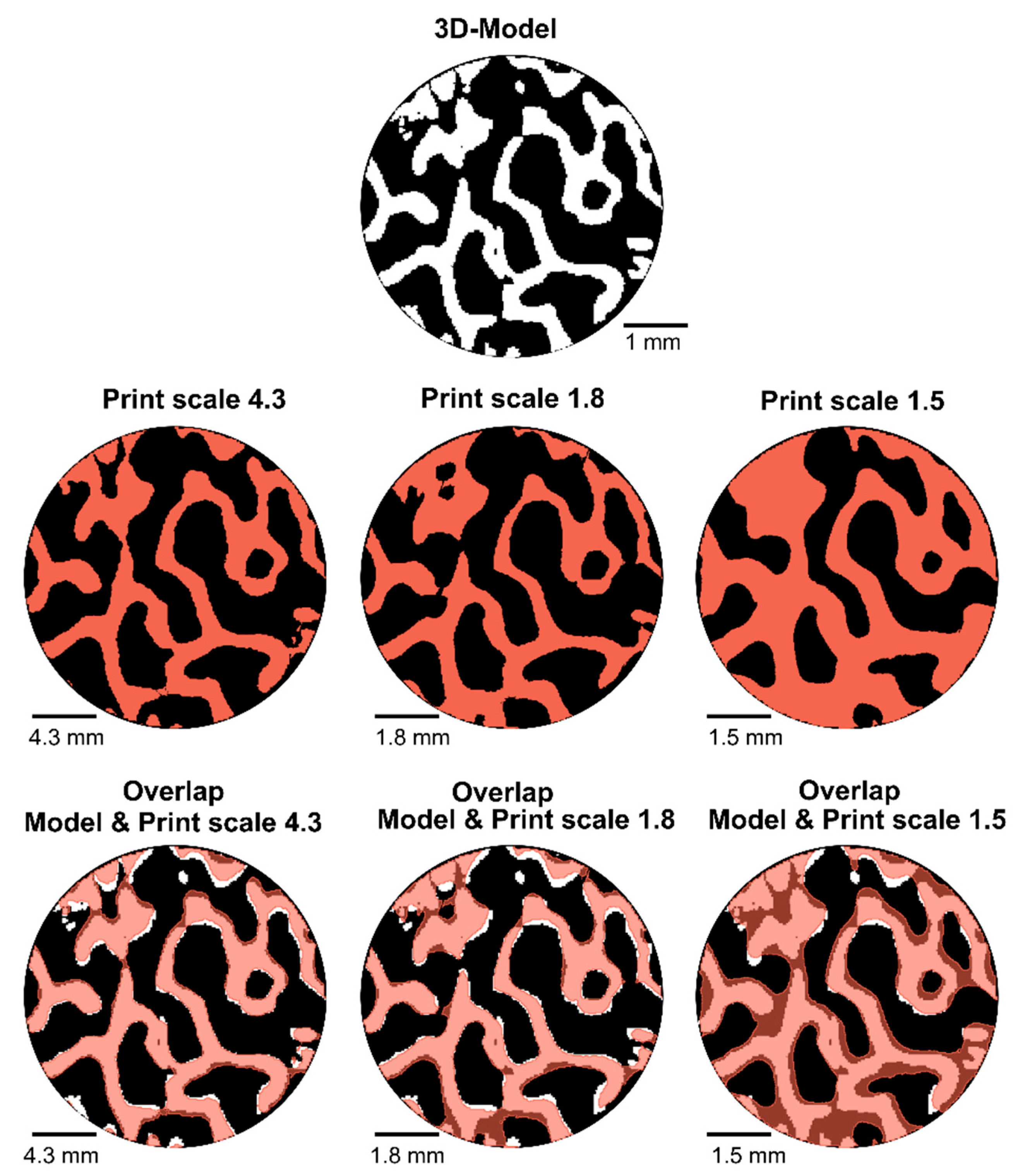 Materials 14 03712 g006