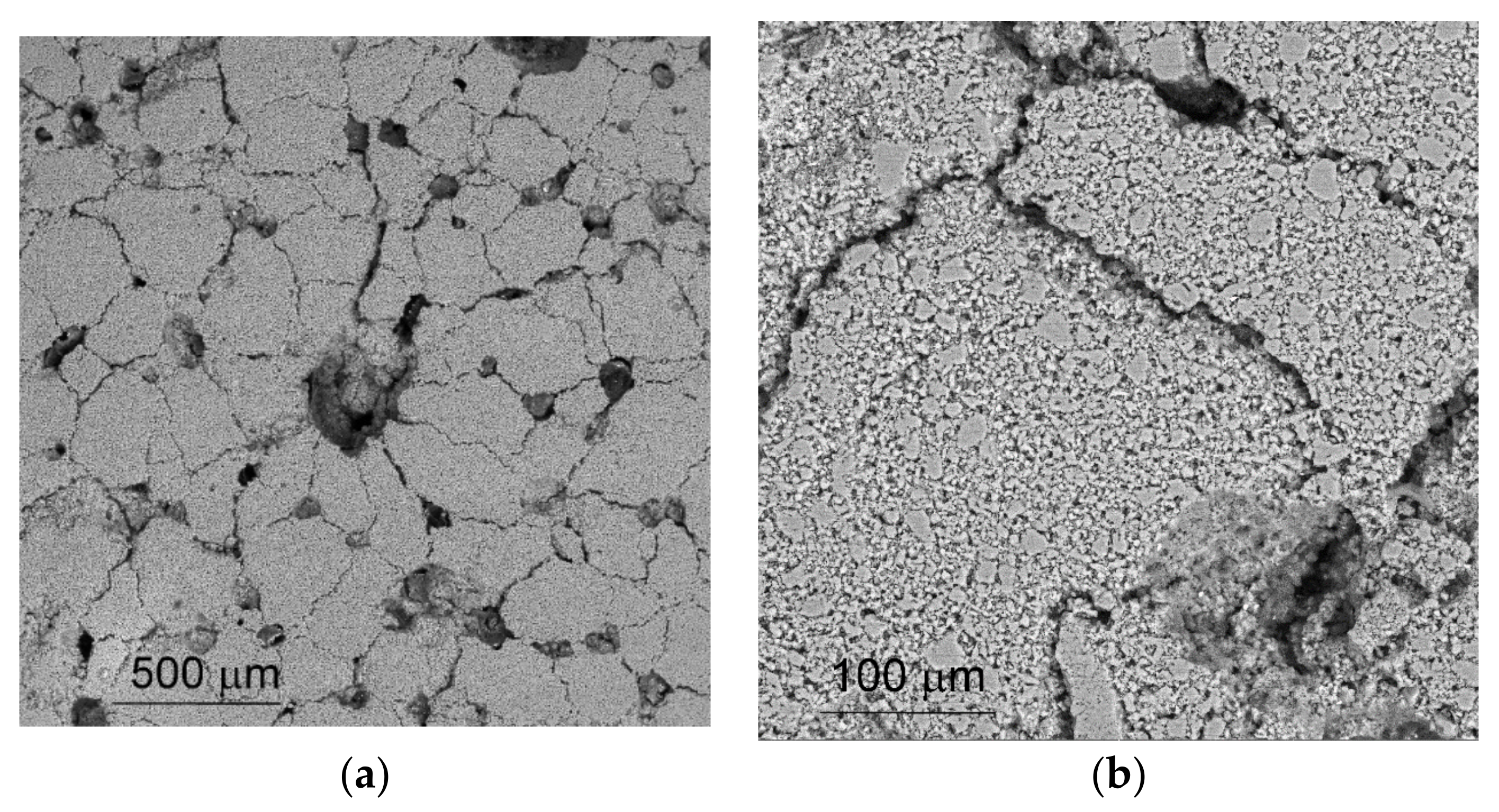 Materials 14 03720 g001 550