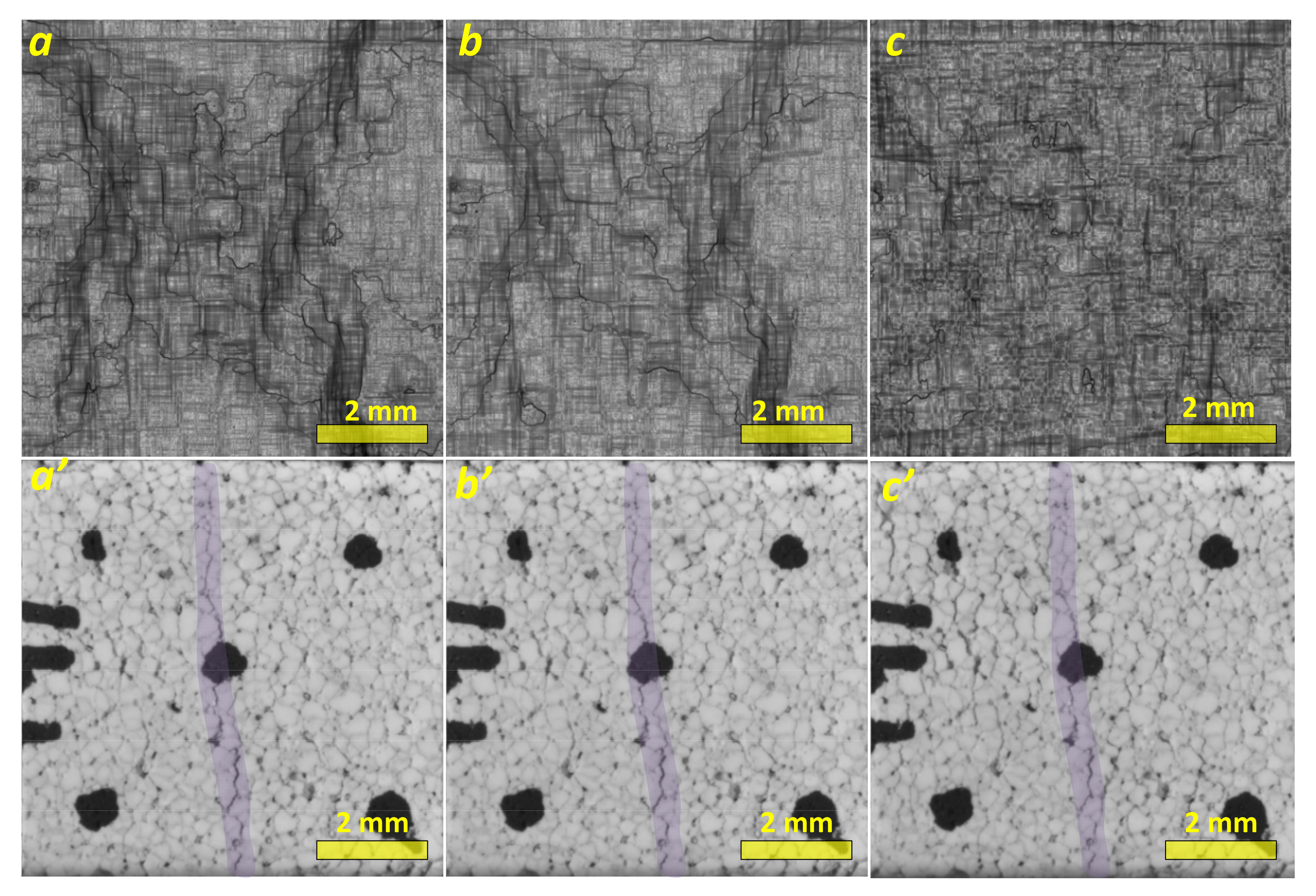 Materials 14 03720 g005 550