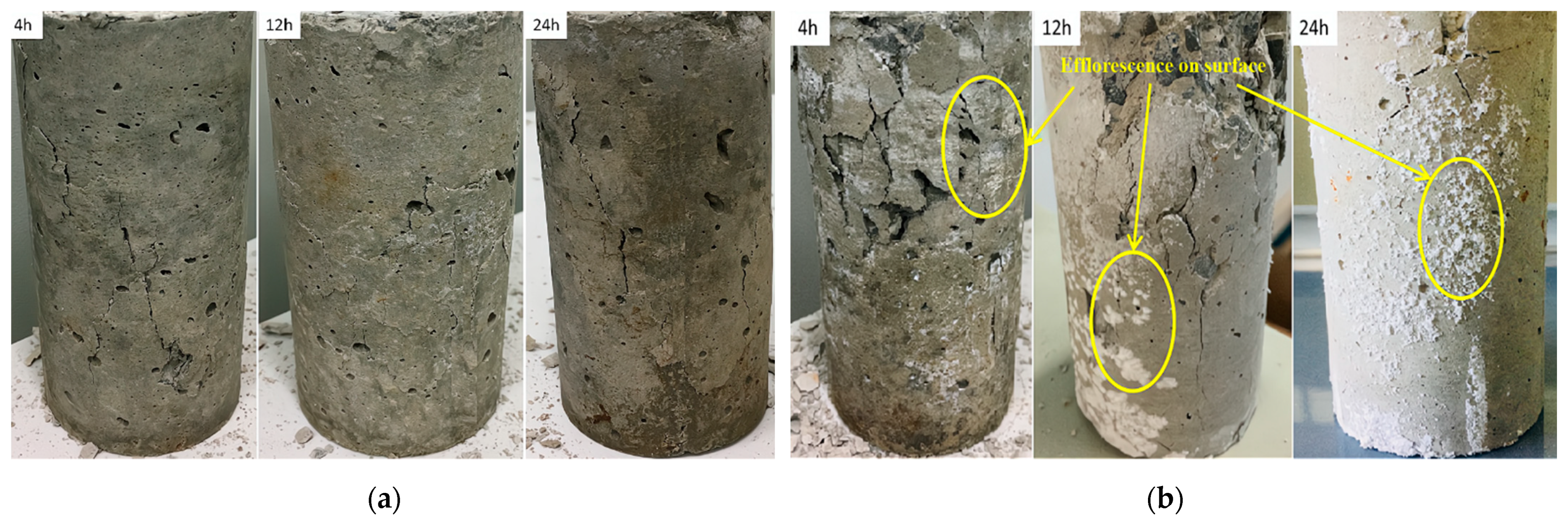 Materials 14 03726 g006 550