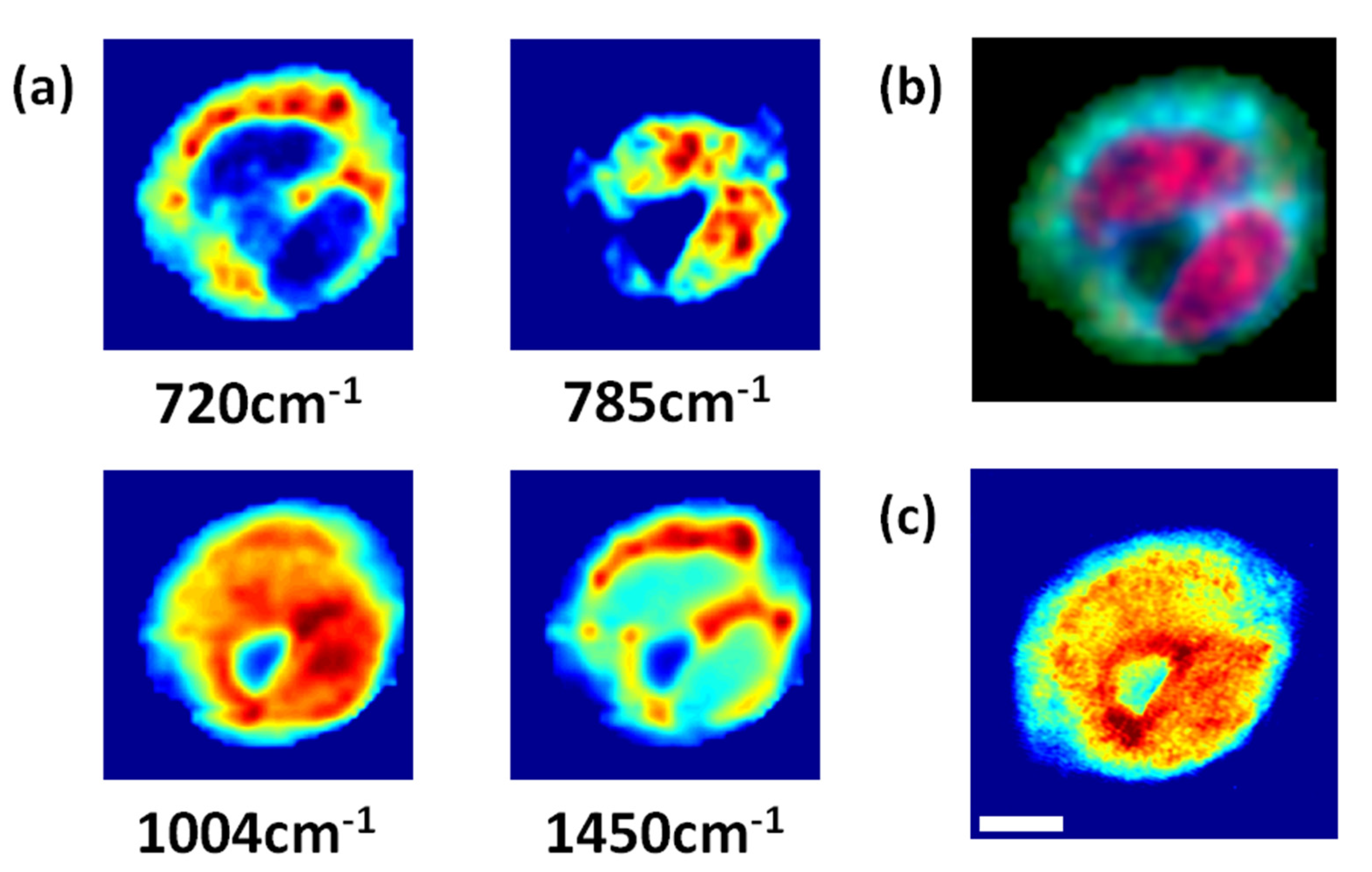 Materials 14 03732 g003 550