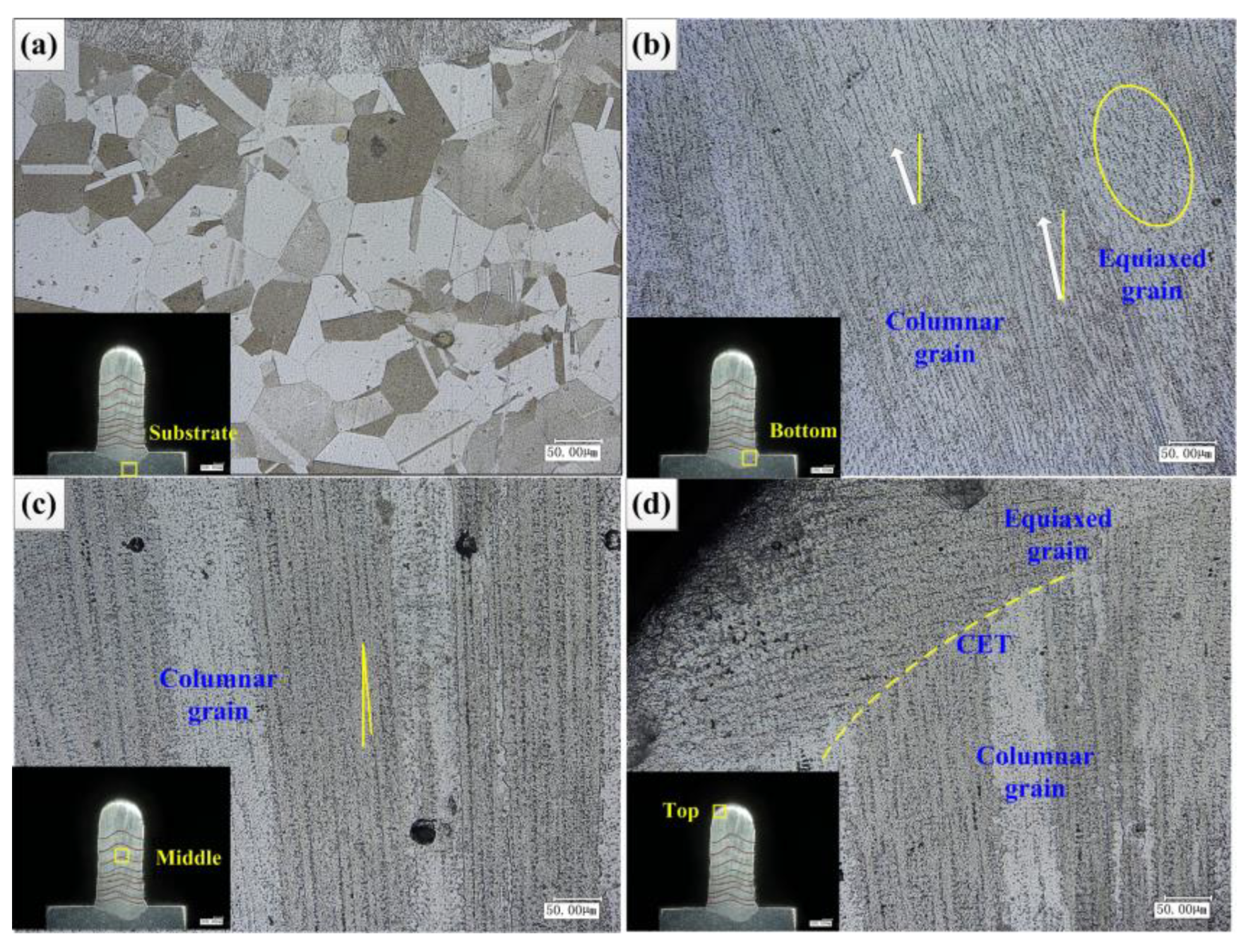 Materials 14 03734 g016 550