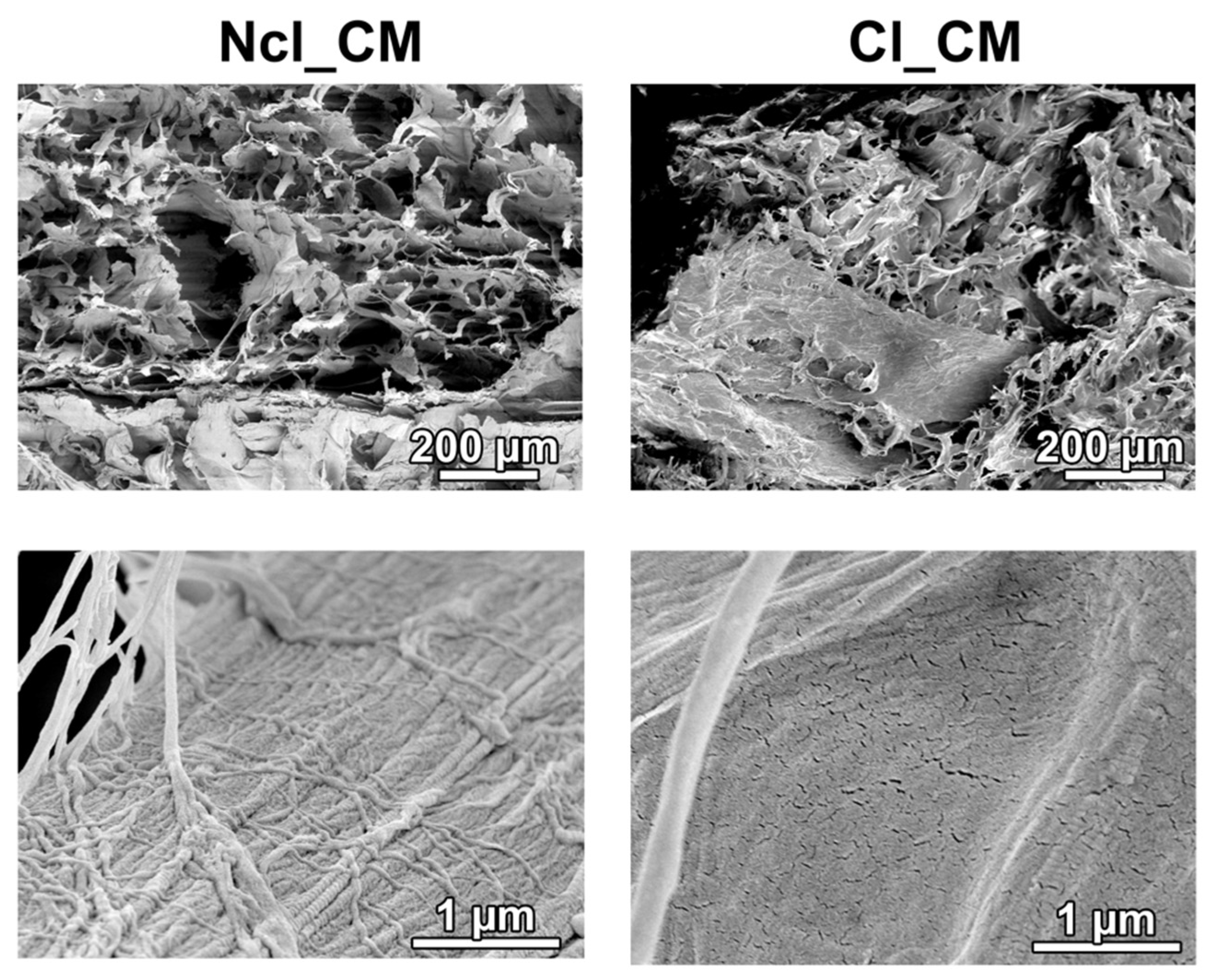 Materials 14 03740 g001