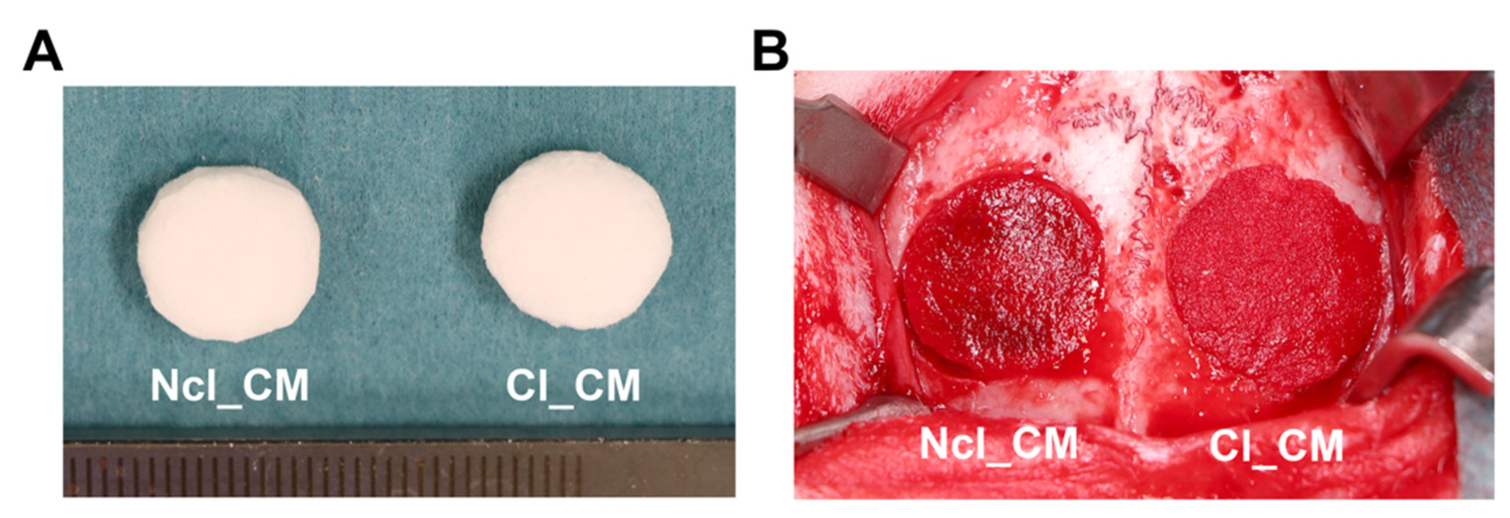 Materials 14 03740 g002