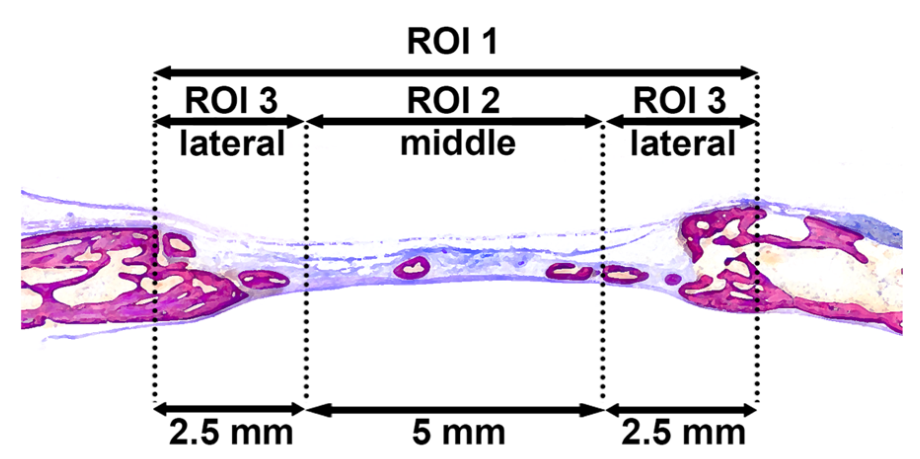 Materials 14 03740 g003
